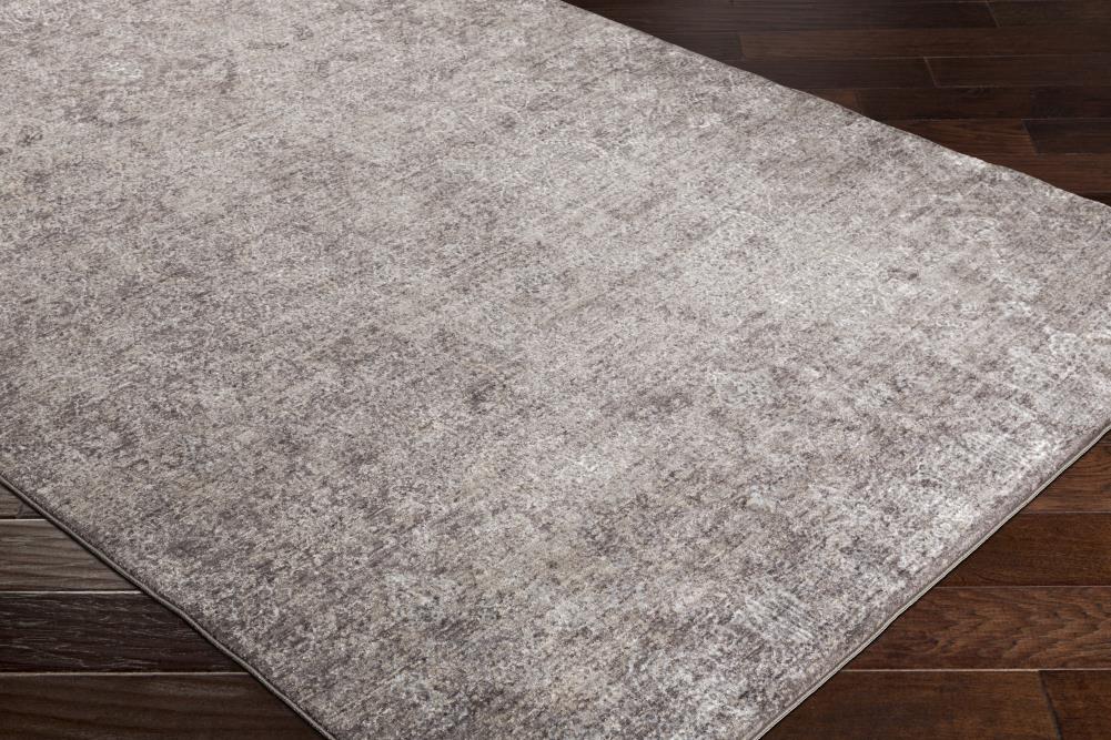 Surya Crescendo 2' x 3'3 Area Rug