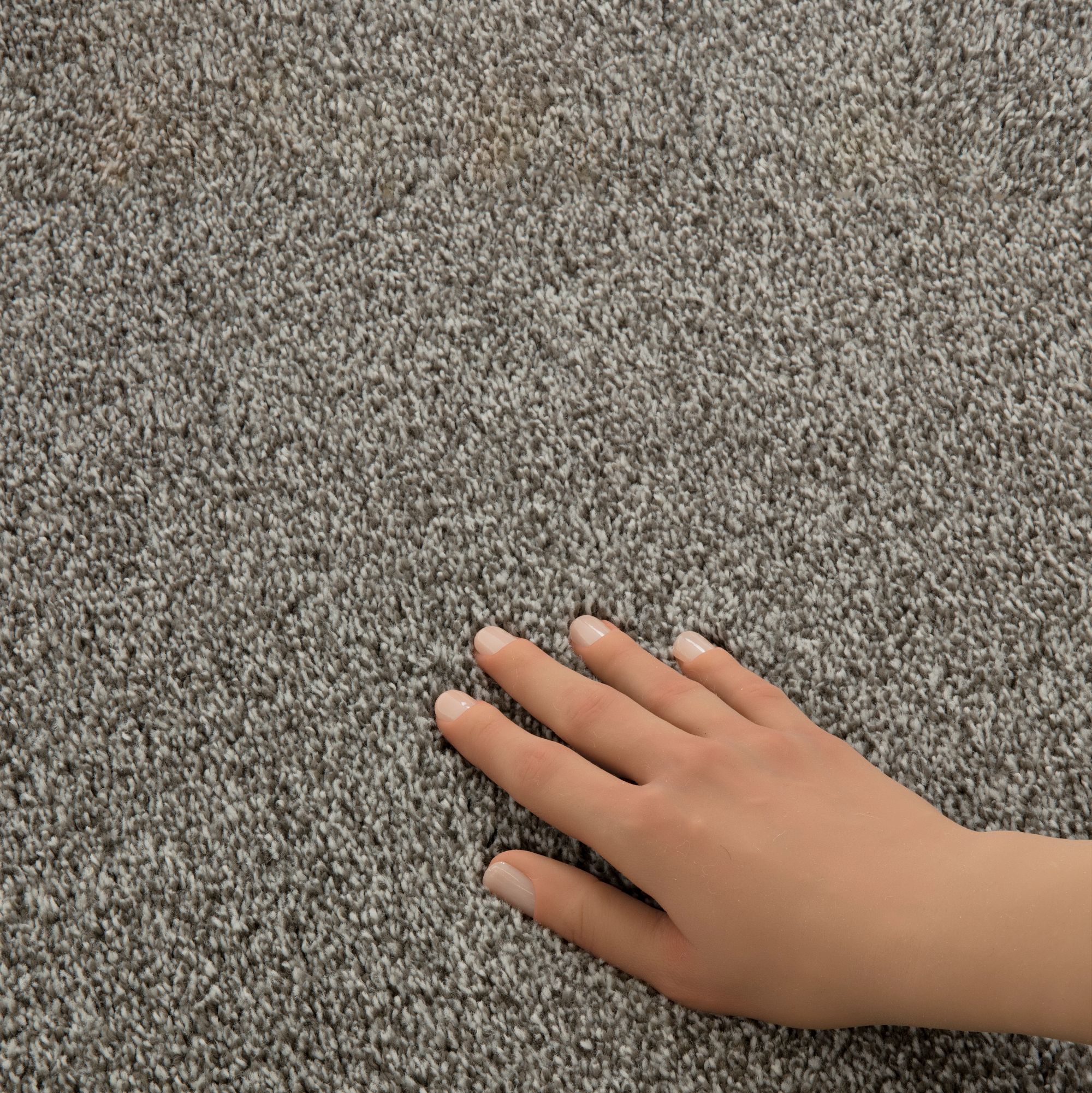 STAINMASTER PetProtect 7L92900537 Carpet-Panel - View #9
