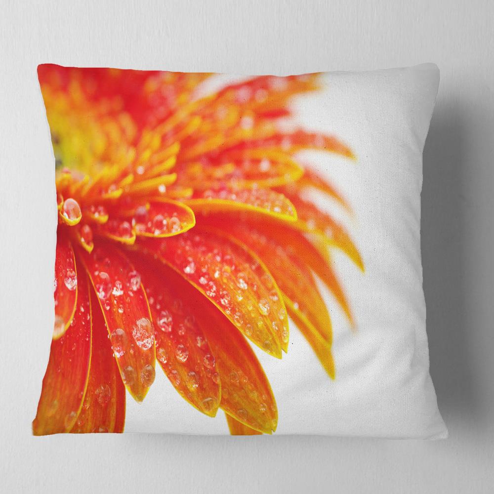 Designart Large Orange Gerbera on White - Floral Throw Pillow - 18x18