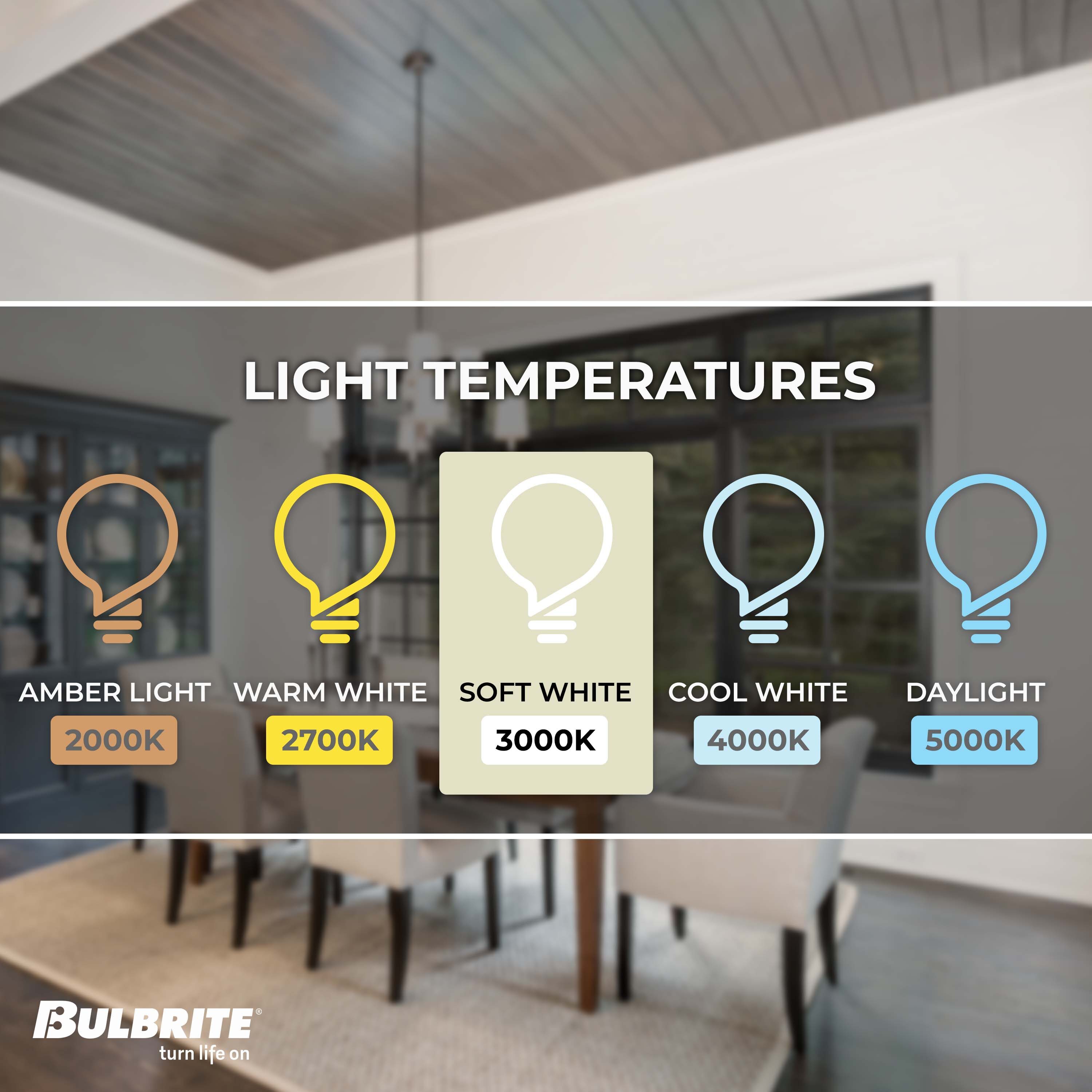Bulbrite 860800 Specialty-Light-Bulbs - View #4
