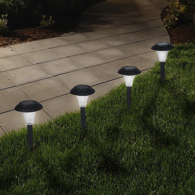 Stable tyrant candidate Nature Spring 8-Pack Yard Decor 3-Lumen 1-Watt Black Solar LED Outdoor Path  Light in the Path Lights department at Lowes.com