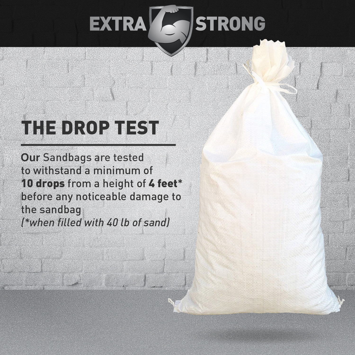 ELK Empty Sand-Bag 10-Pack 50-lb Capacity Woven Polypropylene Sand-Bag in  the Sand Bags department at
