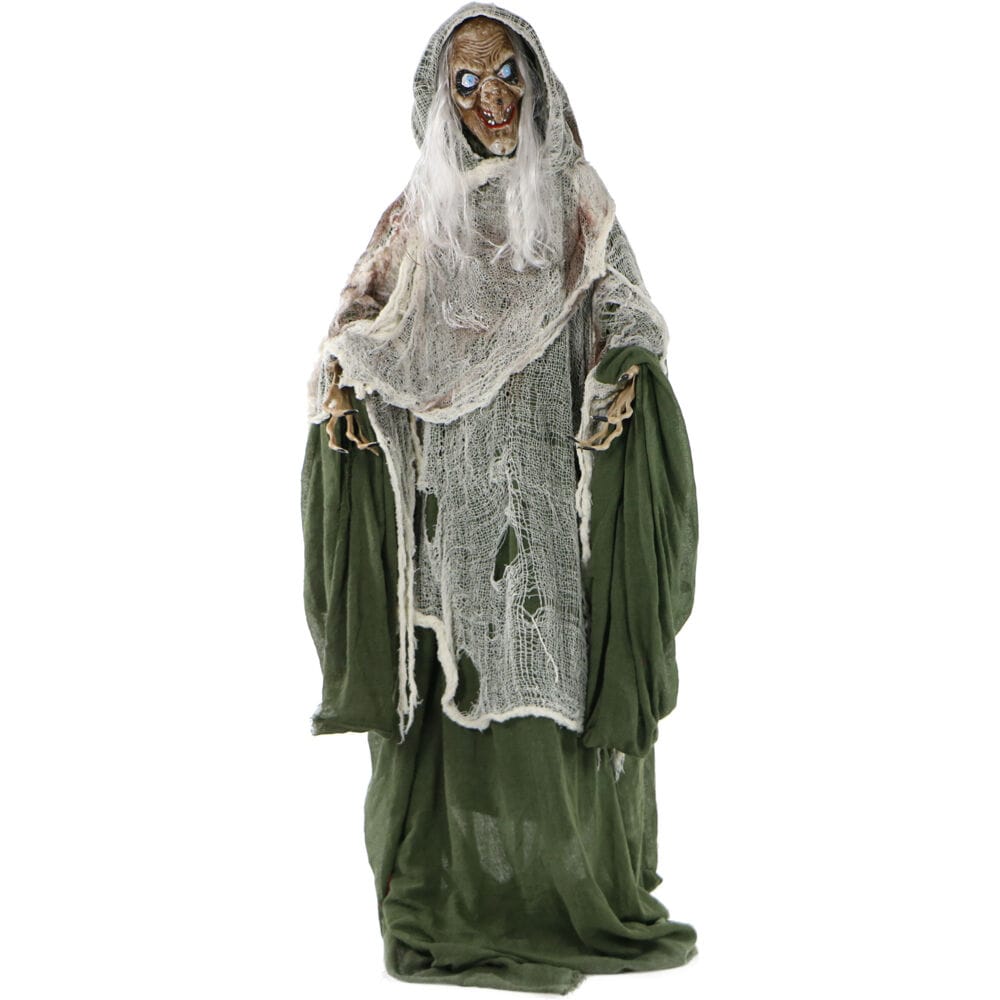 Haunted Hill Farm 5-ft Lighted Animatronic Witch Free Standing ...