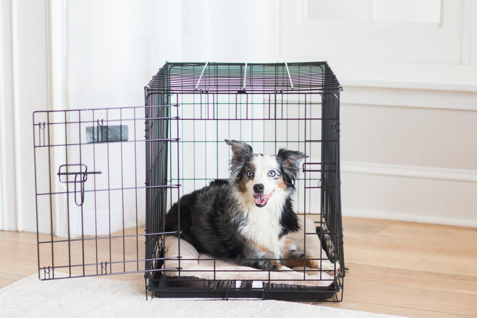 Petmate 26597 Outdoor-Kennel-Accessories - View #2