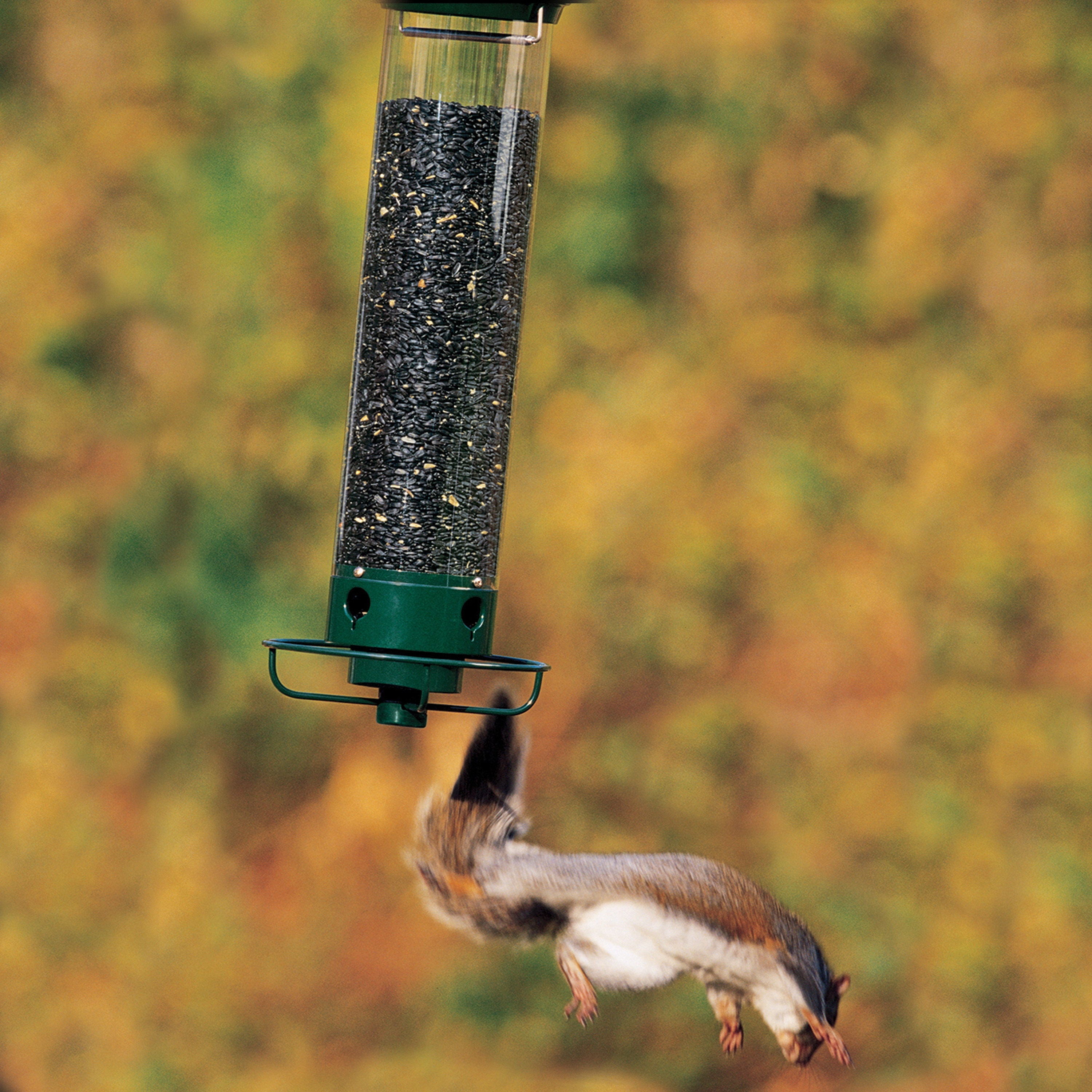 Droll Yankees YF-M Bird-Feeders - View #6