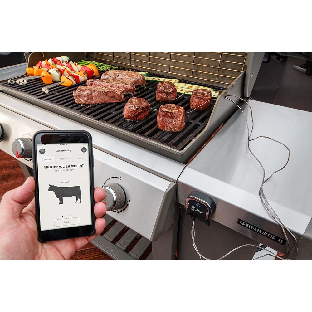 vrijwilliger resultaat professioneel Weber iGrill Digital Probe Bluetooth Compatibility Meat Thermometer in the  Meat Thermometers department at Lowes.com