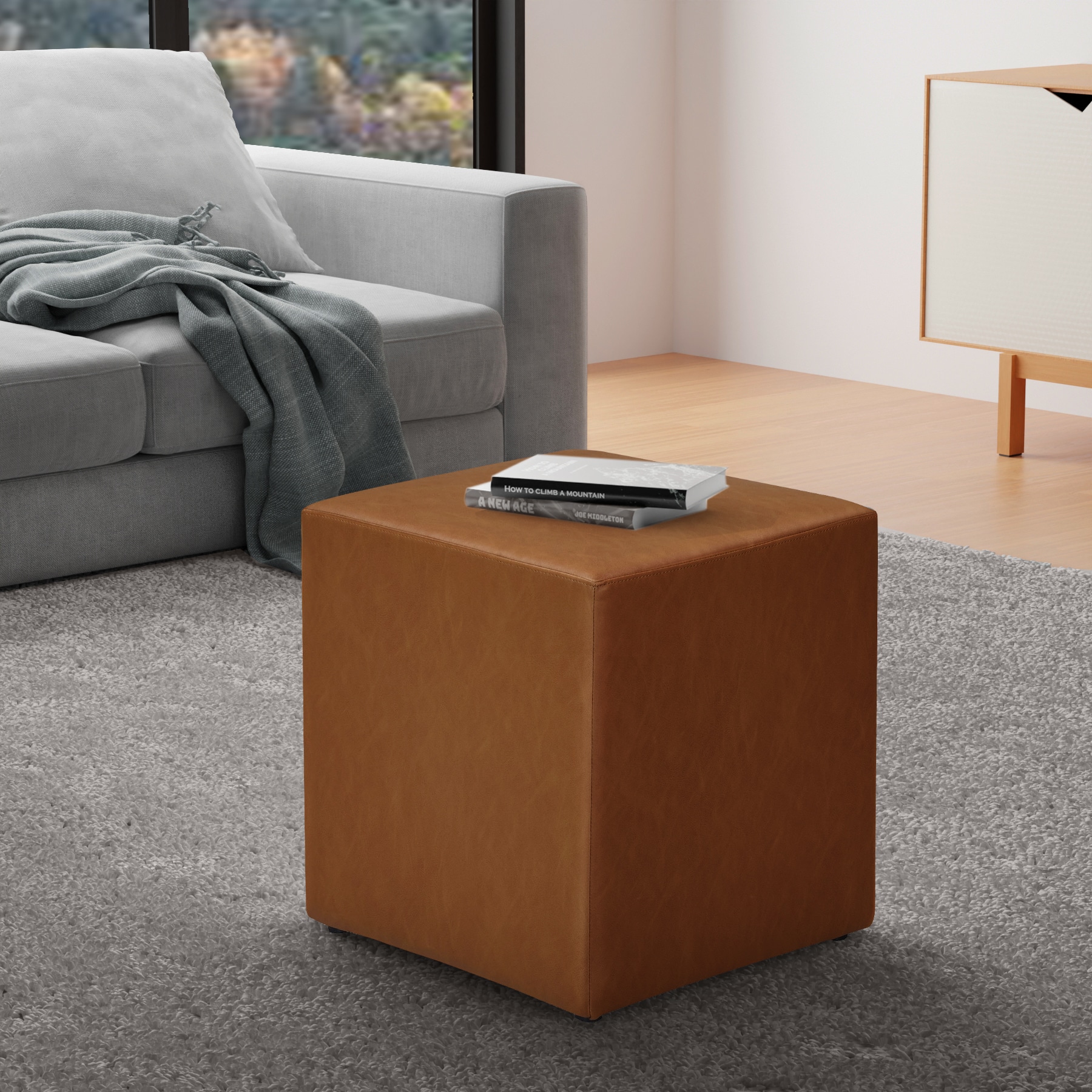 Lifestyle Solutions 510A002CML Indoor-Ottomans - View #5