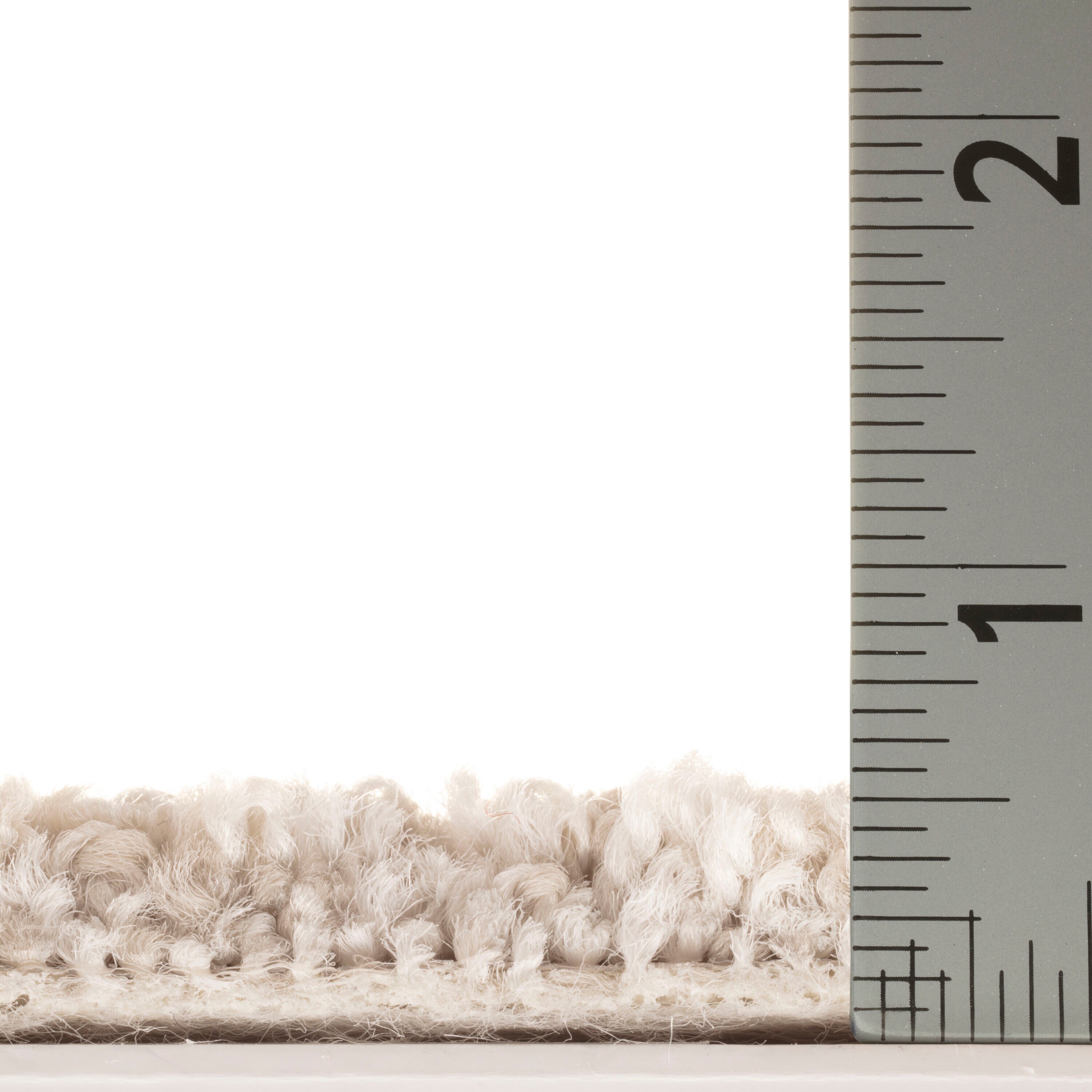STAINMASTER PetProtect 7L85100128 Carpet-Panel - View #5