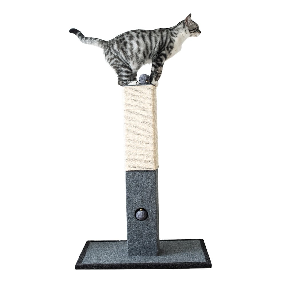 Catry Minimalist Natural Sisal Cat Scratching Post with Peek a Boo Ball Toy #CT19611