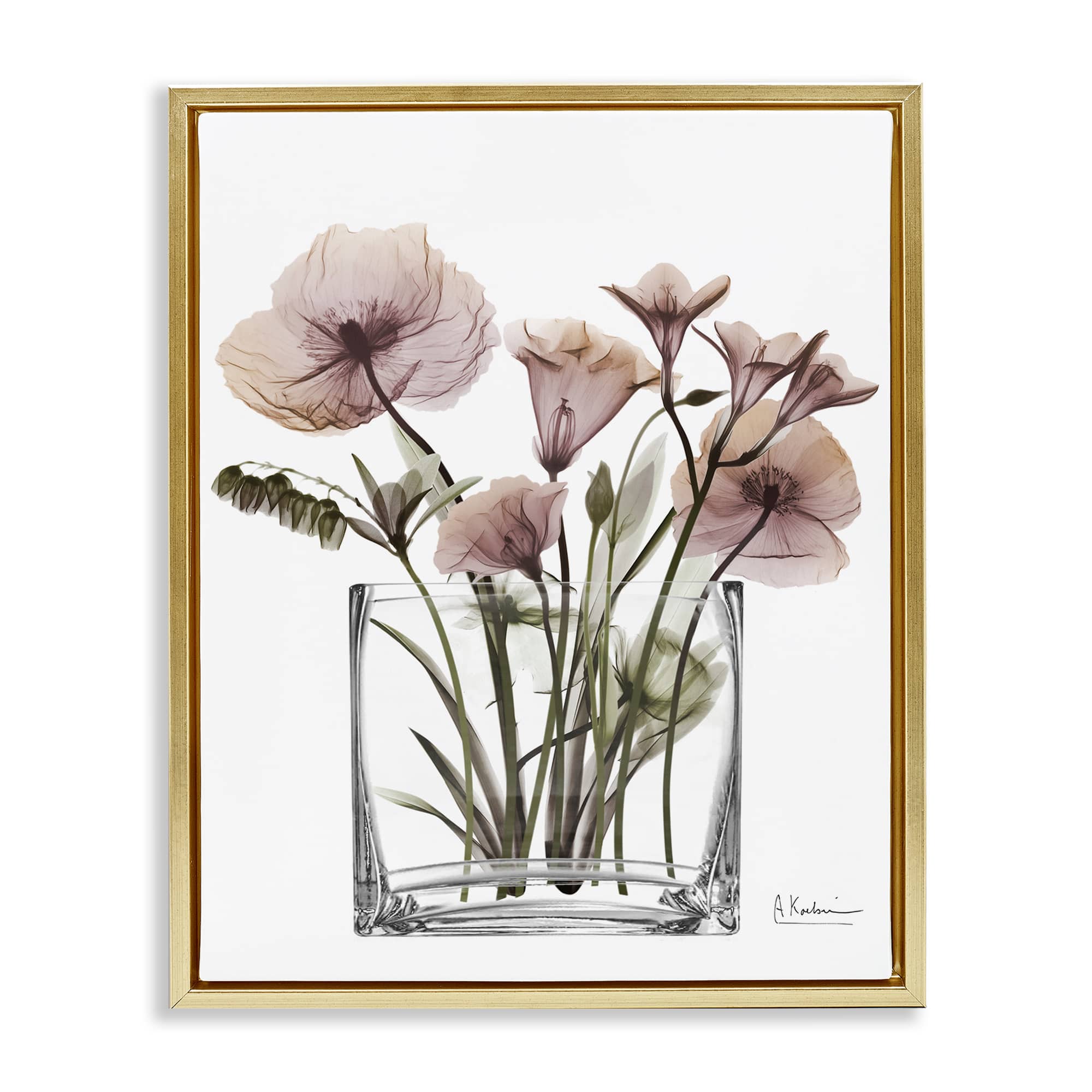 Stupell Industries BS-020-FFG-16X20 Modern Translucent Flowers Floating Frame design by Albert Koetsier
