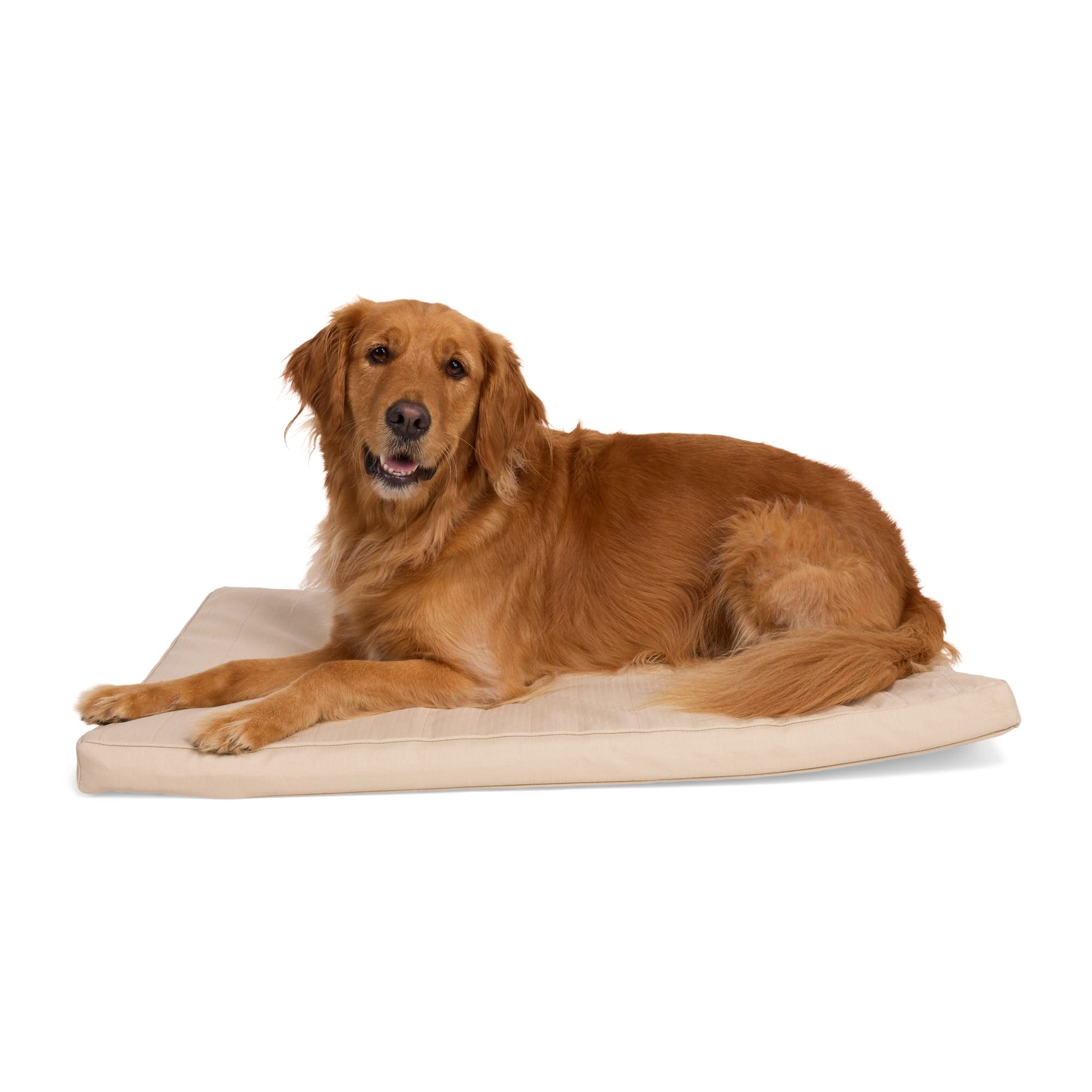 EveryYay  Tan Durable Dog Mat 23inch L X 15inch W Small