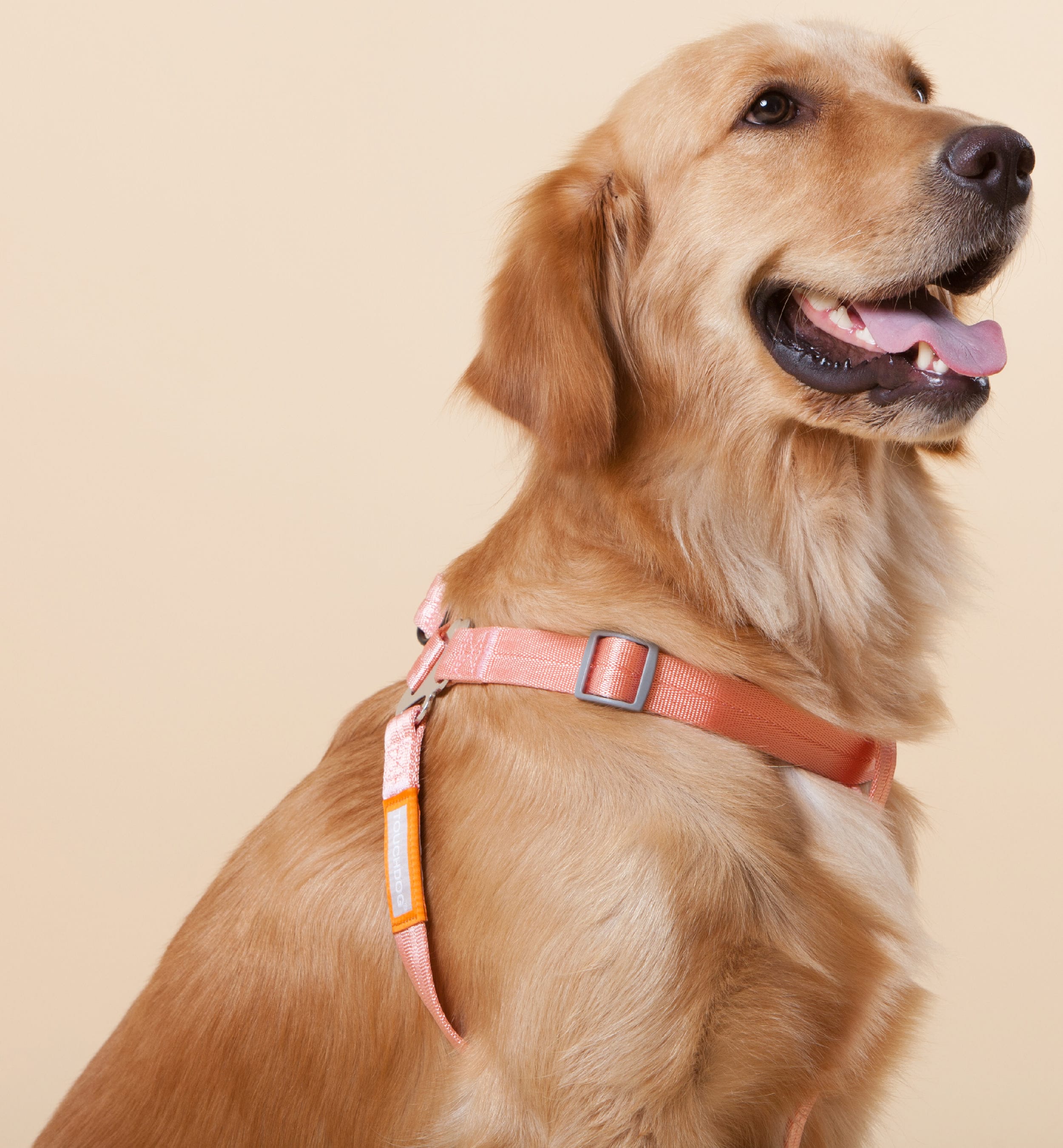 Touchdog HA45PKMD Dog-Collars-Harnesses - View #4