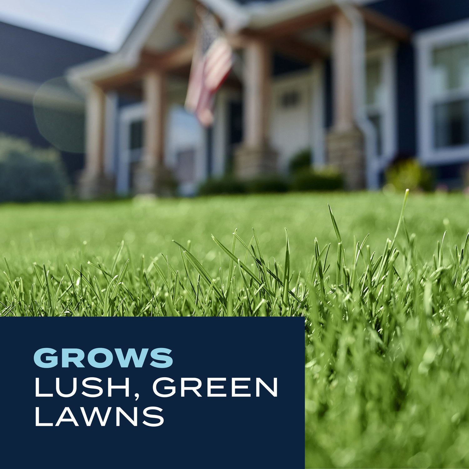 Scotts 23003 Lawn-Fertilizer - View #6