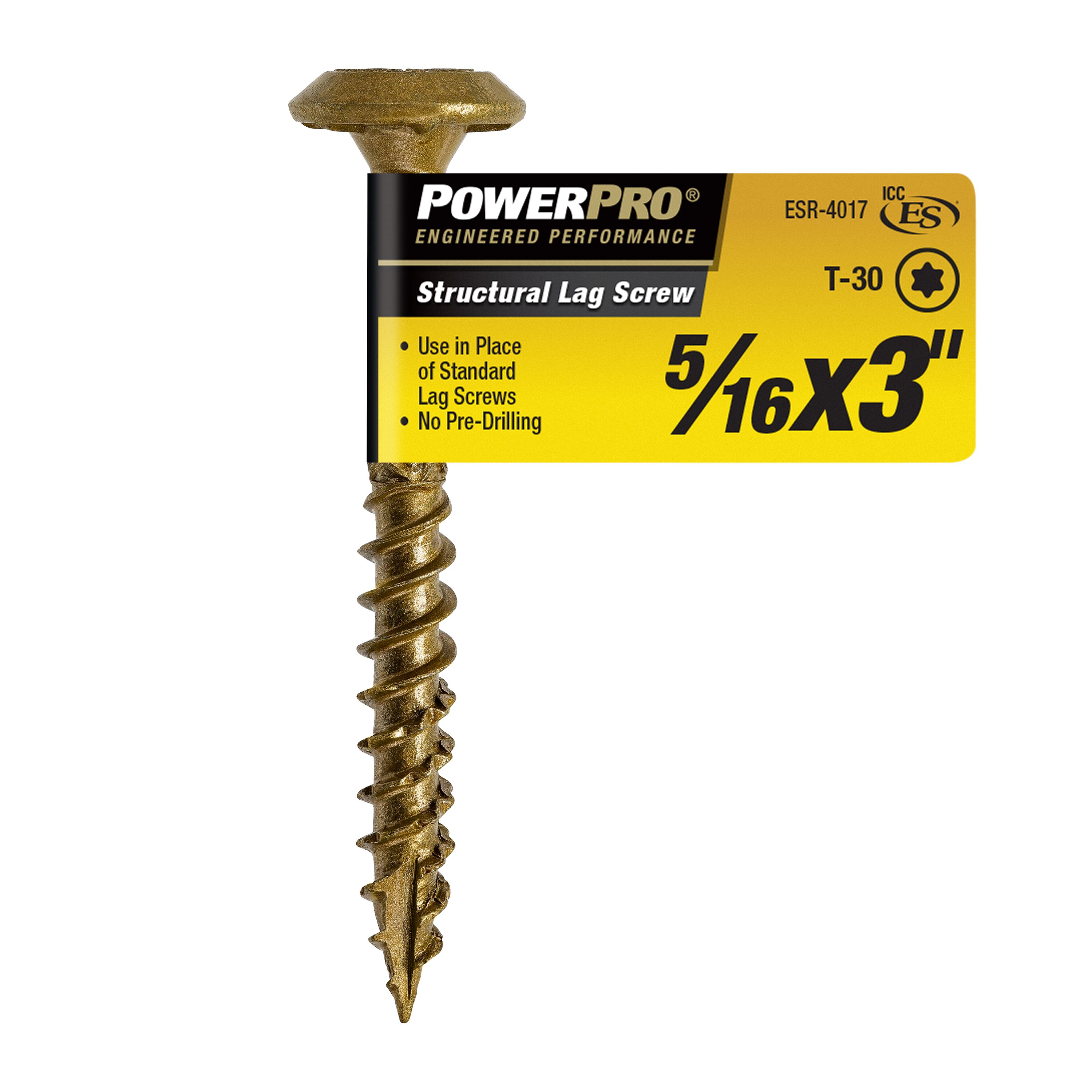 Power Pro 48921 5/16-in x 3-in Ceramic Ceramic Round -Head Exterior Lag screws