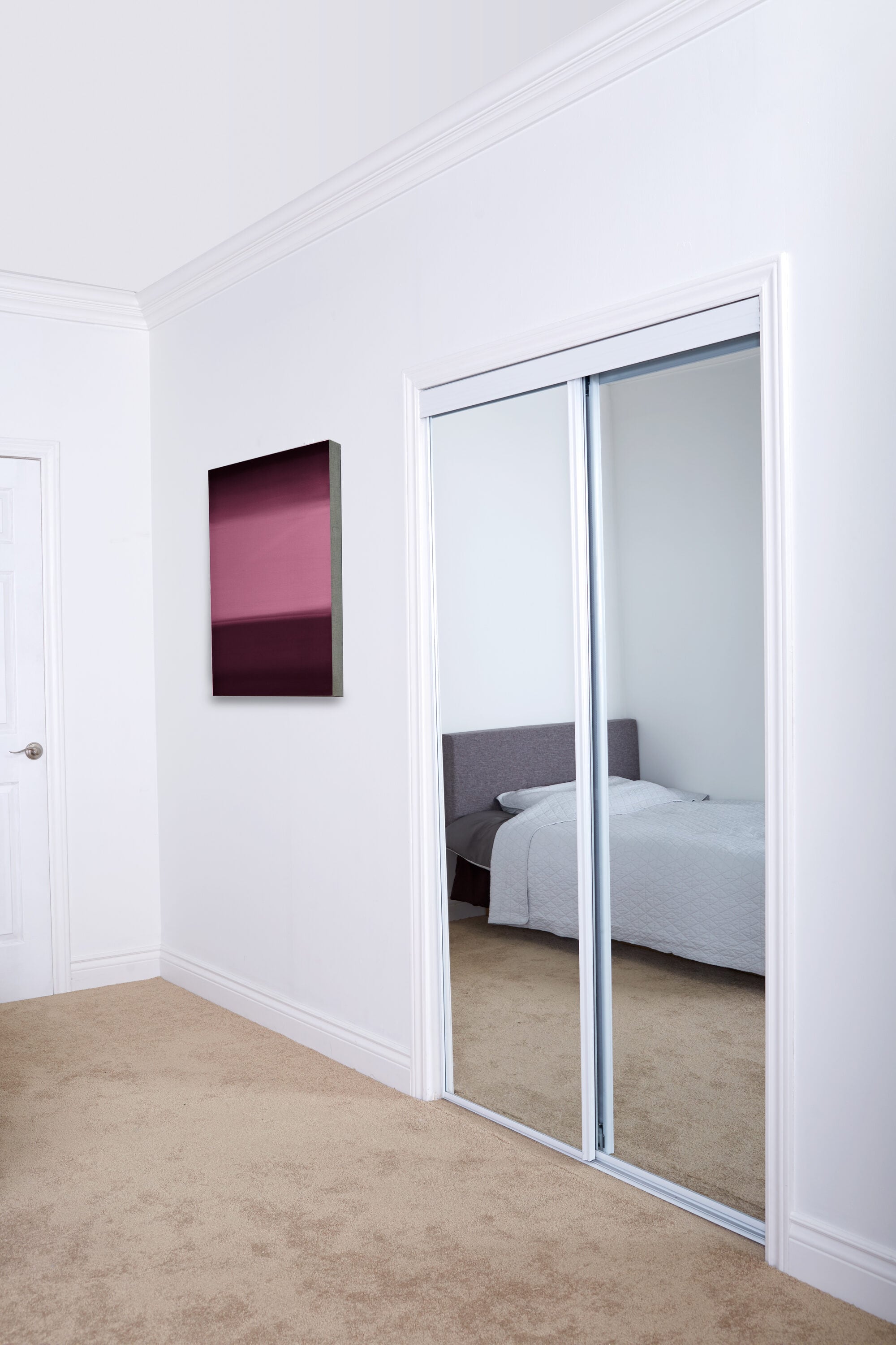 Mirrored Sliding Closet Doors 60 x 80 (Double 31 x 80) with Hardware  Kit & Floor Guide, Mirror Interior Doors Easy Install