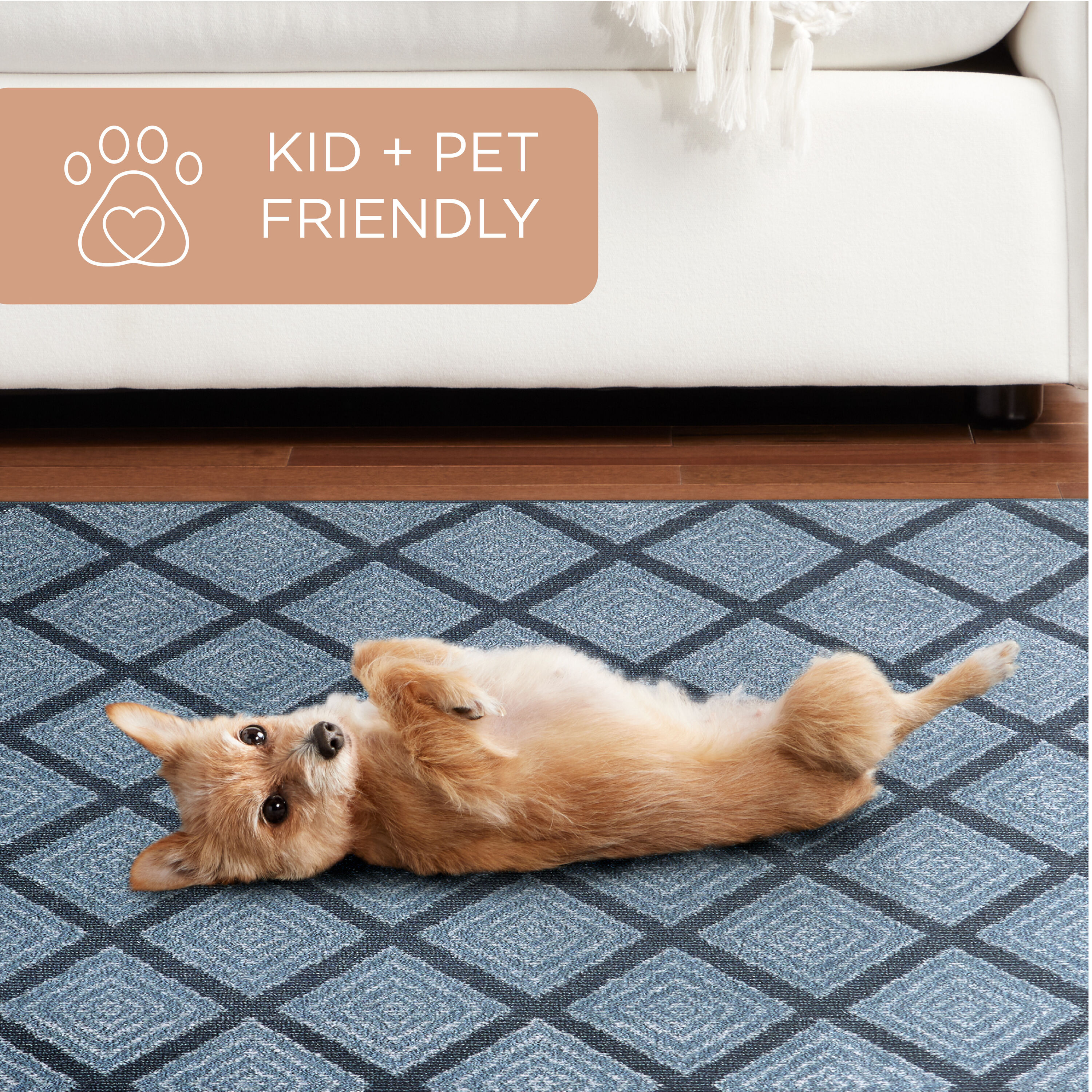 Town & Country Living 2A-87-309 rugs - View #4