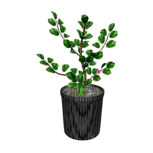 Three-dimensional representation of the product