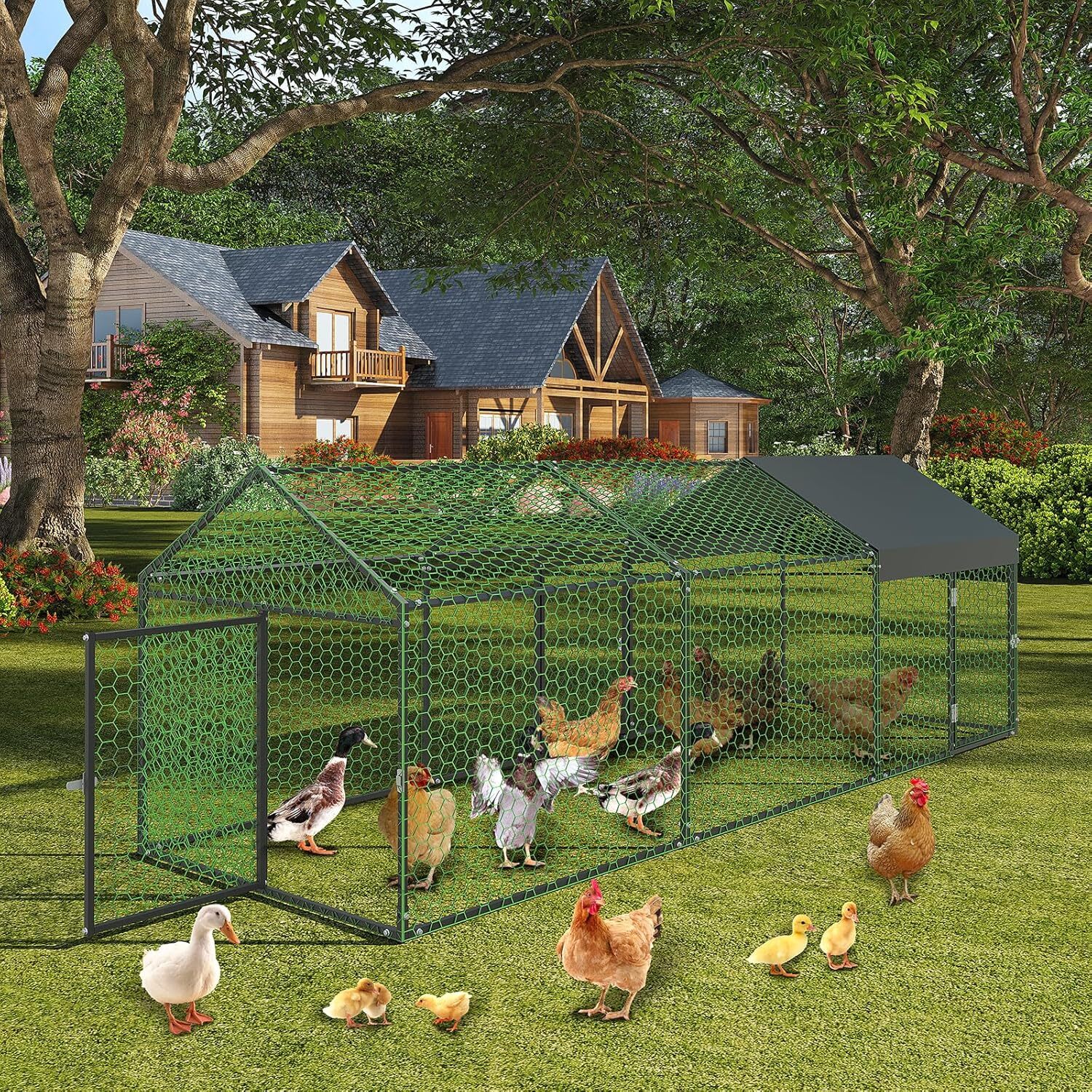 Qeetex GGL-PPG-33EVARQG Chicken-Coops-Rabbit-Hutches - View #7
