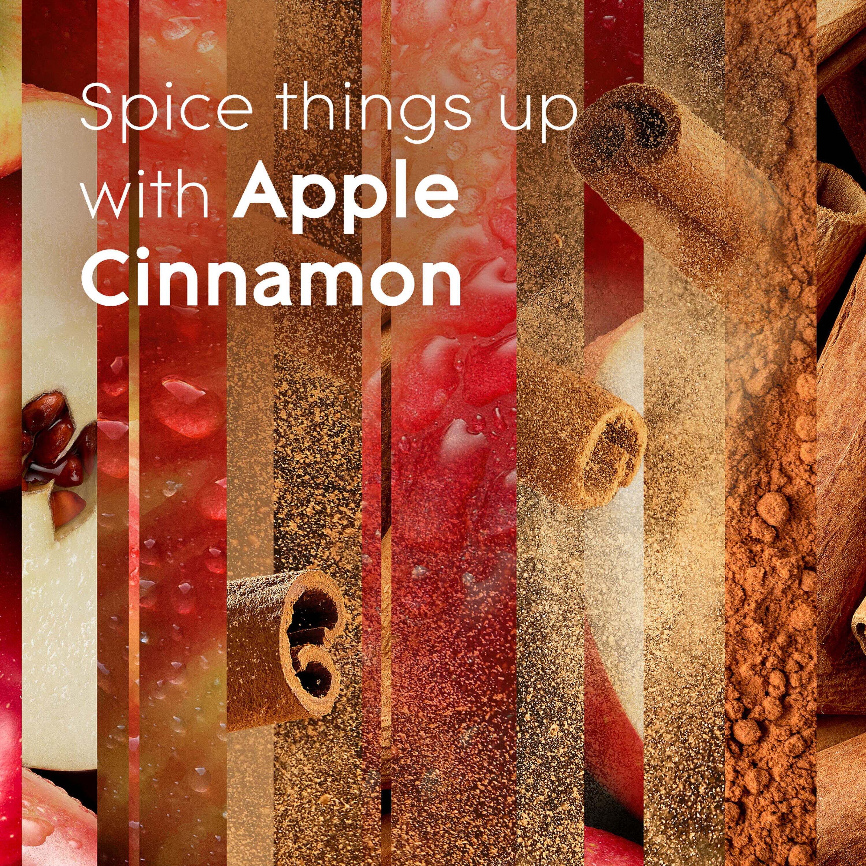 Glade 0.67 -fl oz Apple Cinnamon Refill Air Freshener 2 -Pack