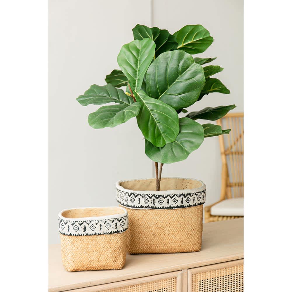 JUJABU ZJURN PLANTER-9 Planter-Window-Box - View #5