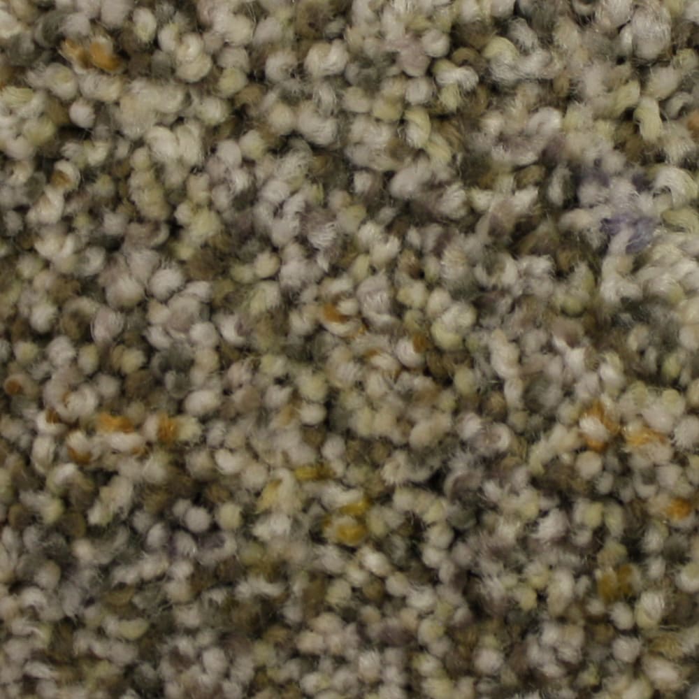 STAINMASTER S9068-6-1200-AB (Sample) PetProtect Soul Mate Teamwork Textured Indoor Carpet