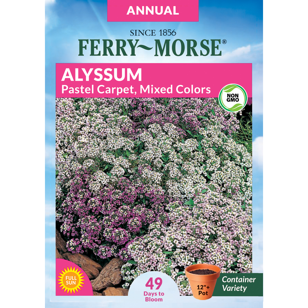 Ferry-Morse 912606.219.639336 Alyssum Pastel Carpet Flower Seeds 0.16 Gram(s)
