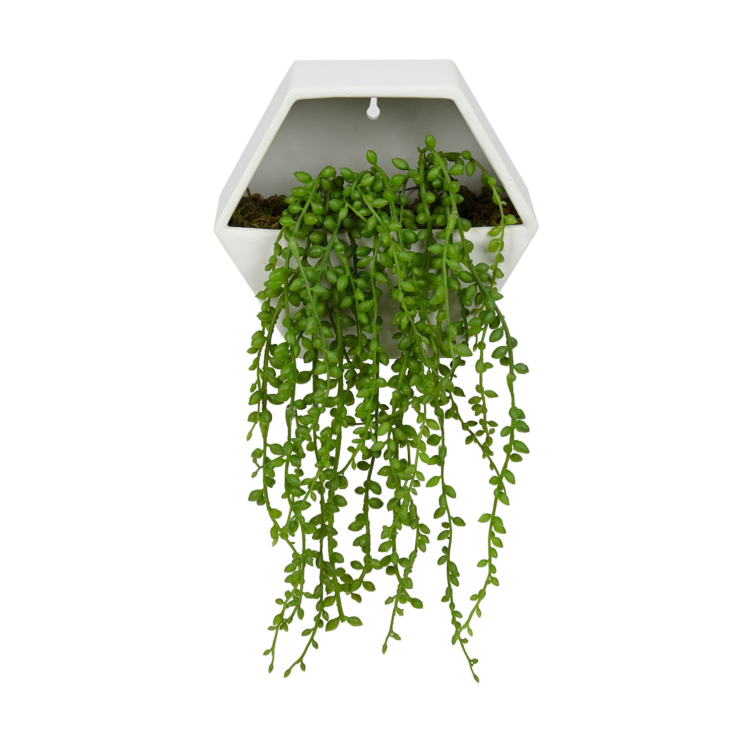Origin 21 14-in Green Indoor Hanging Artificial Vines Artificial Plant in  the Artificial Plants & Flowers department at
