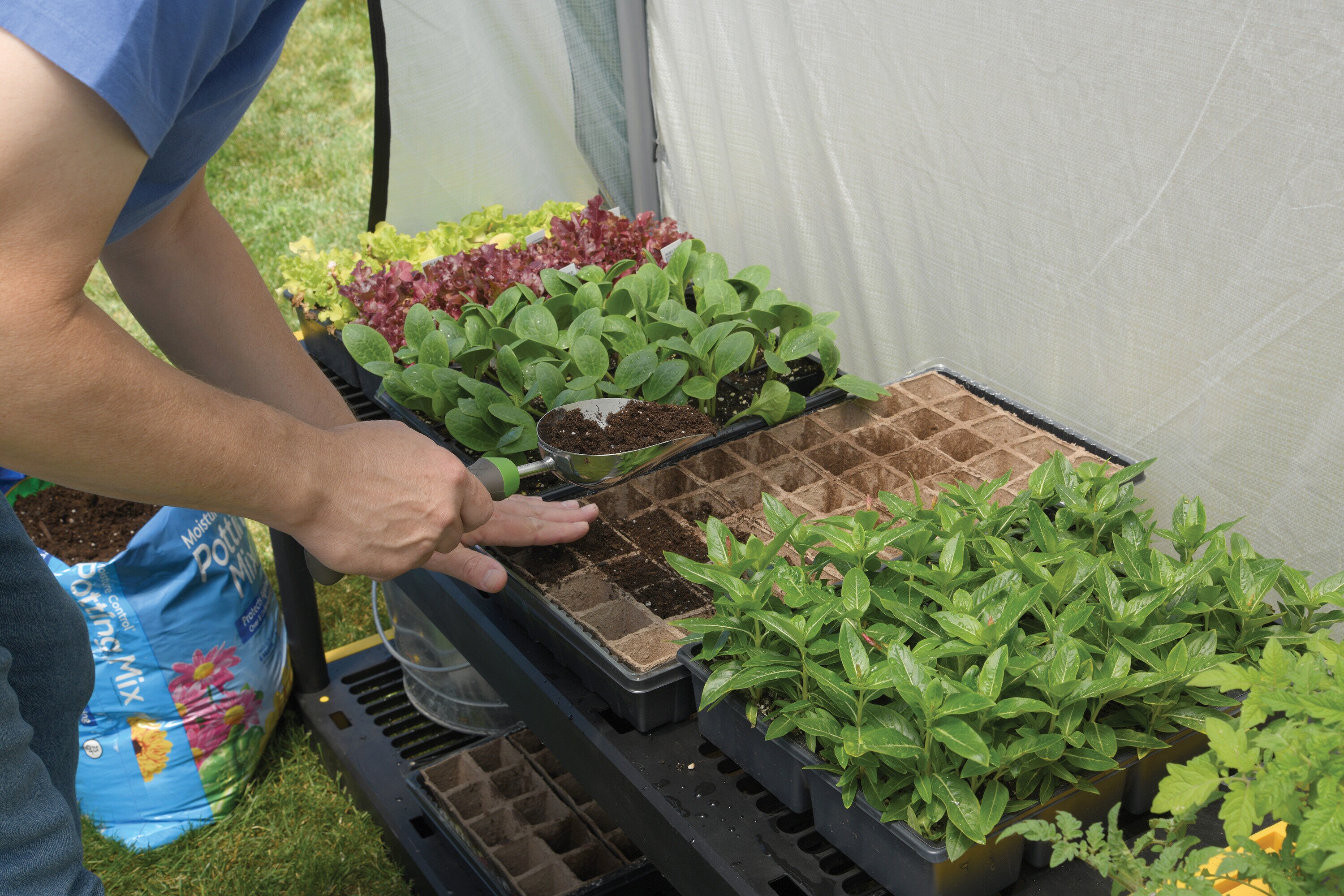 ShelterLogic 70699 greenhouses - View #9