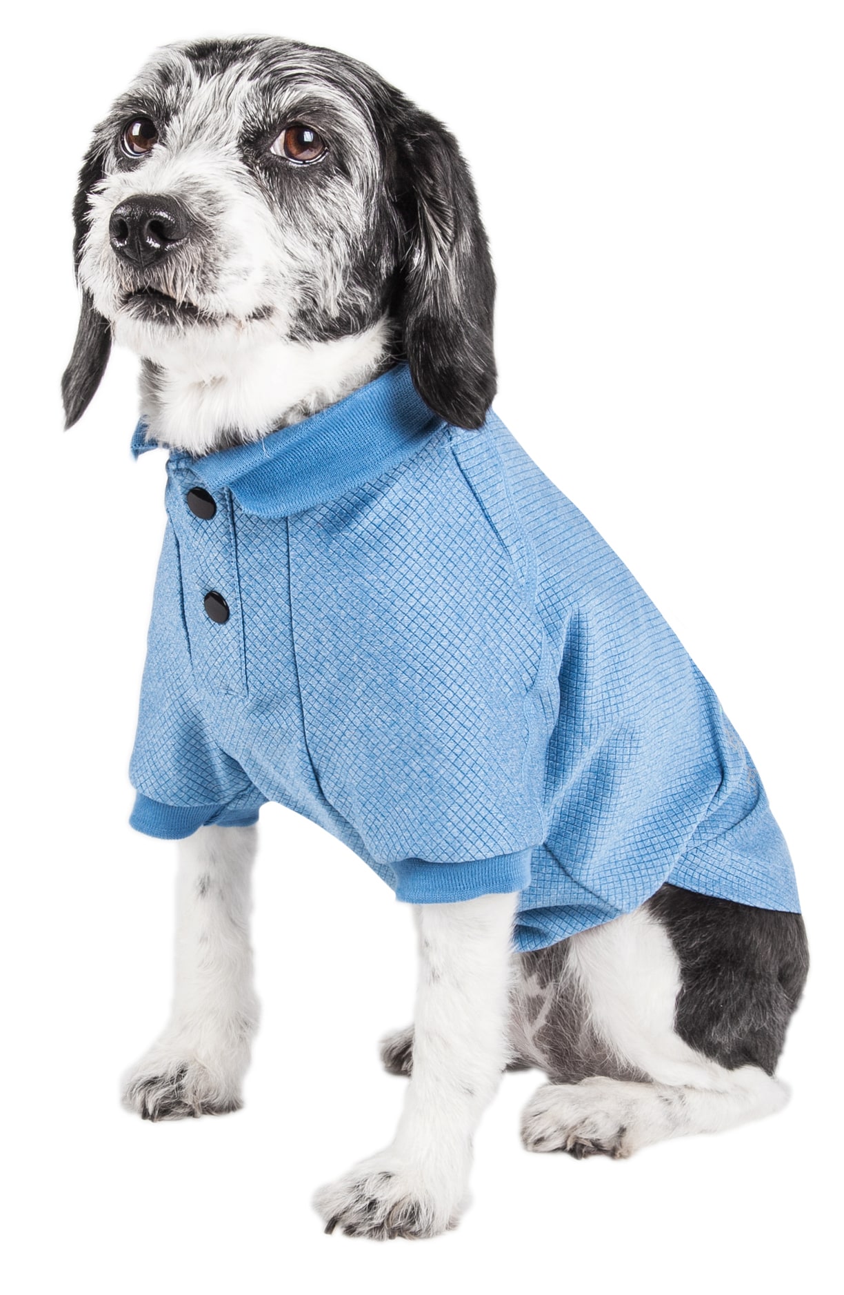 Pet Life PLHL2BLSM Dog-Apparel - View #2