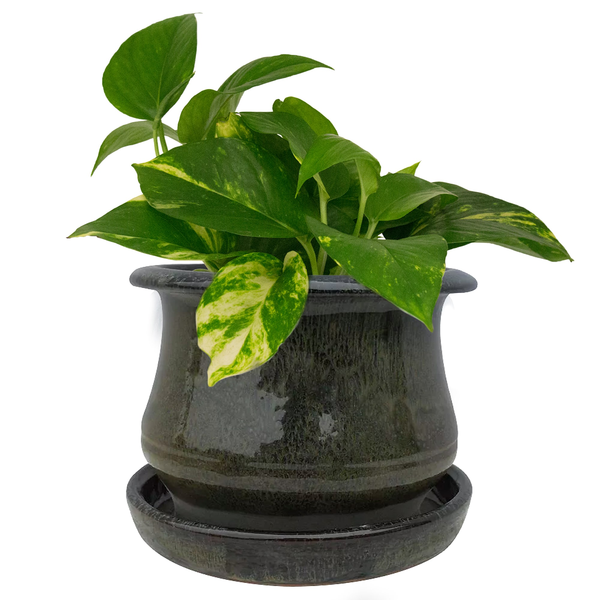 Trendspot LEDB10020-06I Planter-Window-Box - View #3