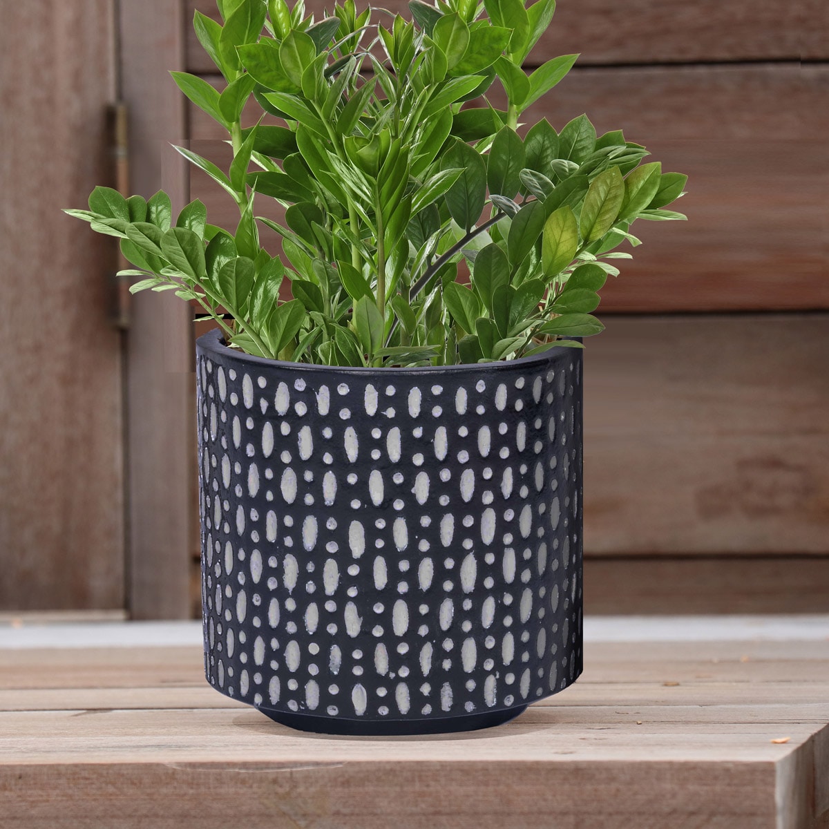 allen + roth LOW-26244395 Planter-Window-Box - View #12