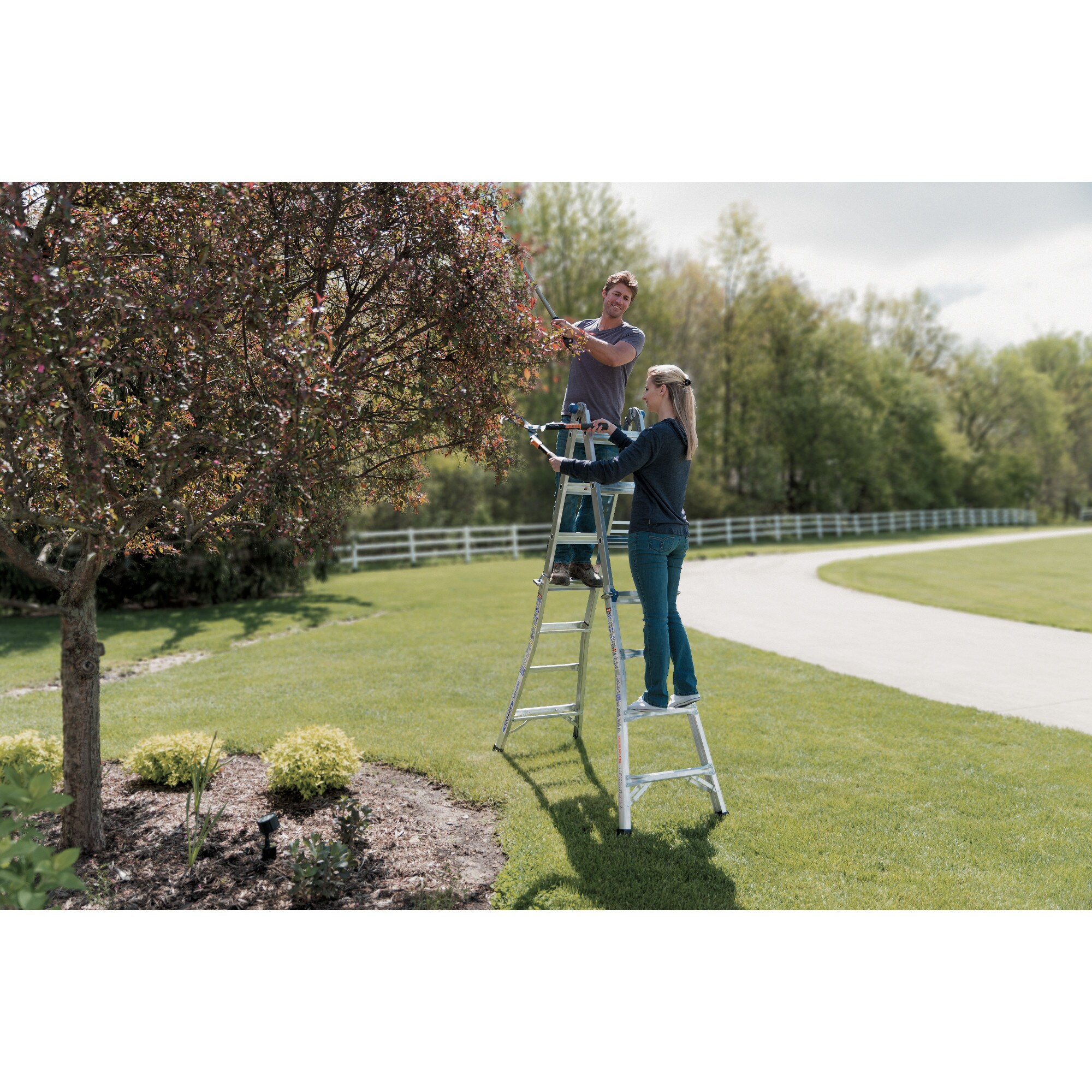 Werner MT-17 Multiposition-Ladders - View #16