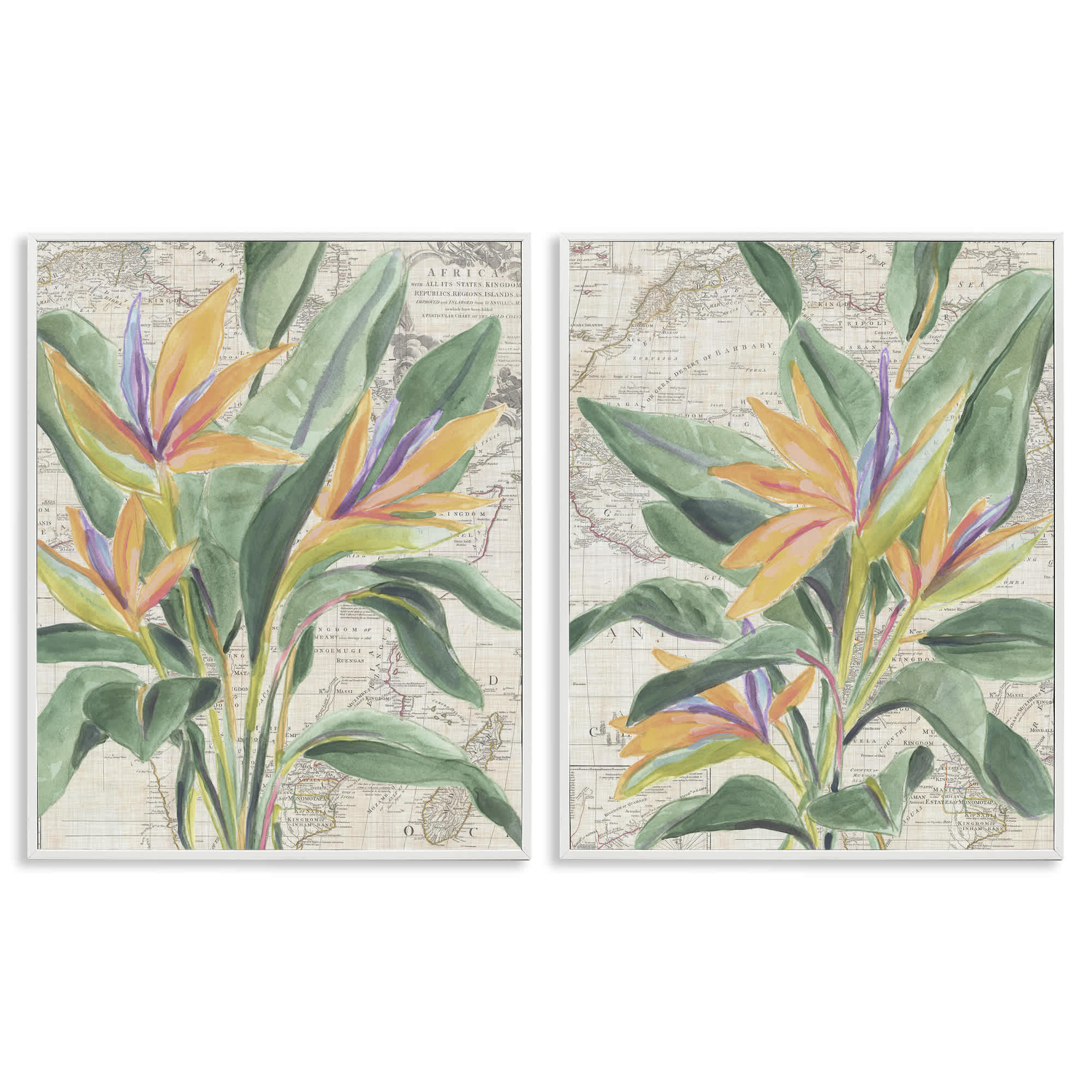 Stupell Industries B2-771-WFR-2PC-24X30 Flowers over Vintage Map 2 Piece White Framed Giclee Art Set By June Erica Vess 24 x 30