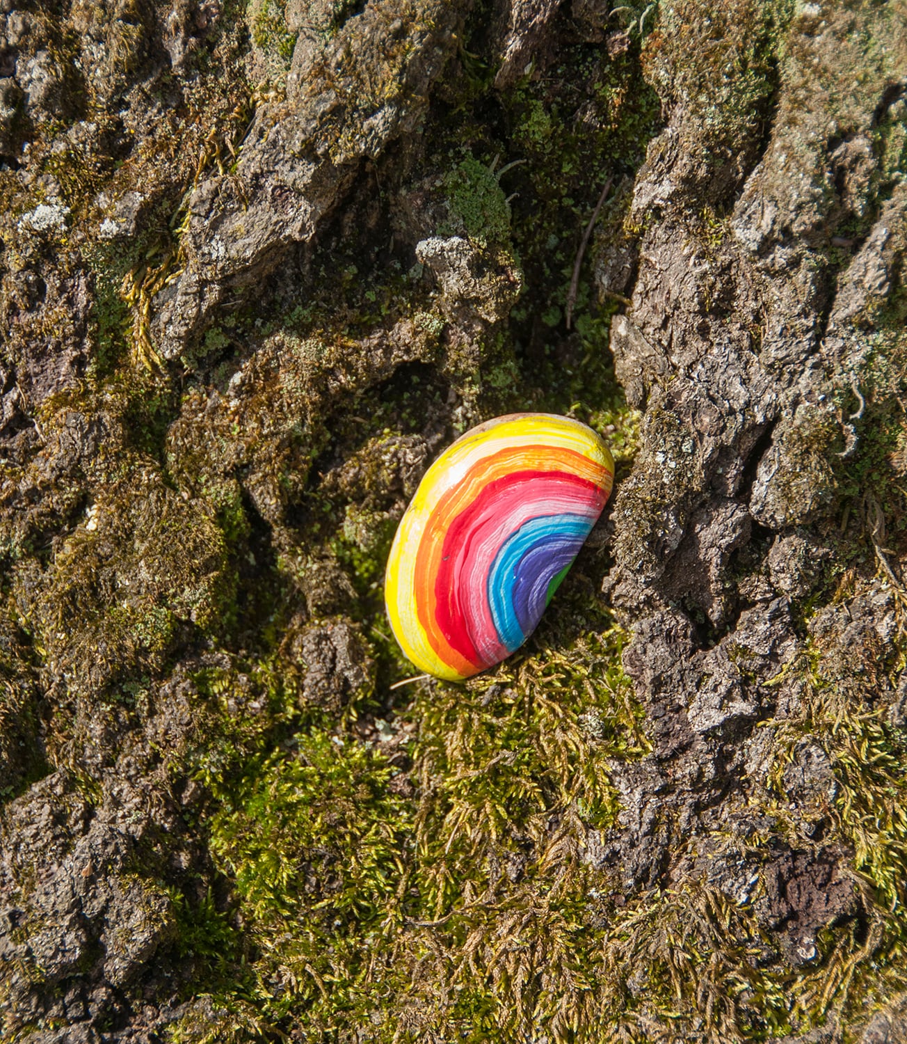 Rock Painting: Hide and Seek Dot A Rock from Creativity for Kids –  Faber-Castell USA