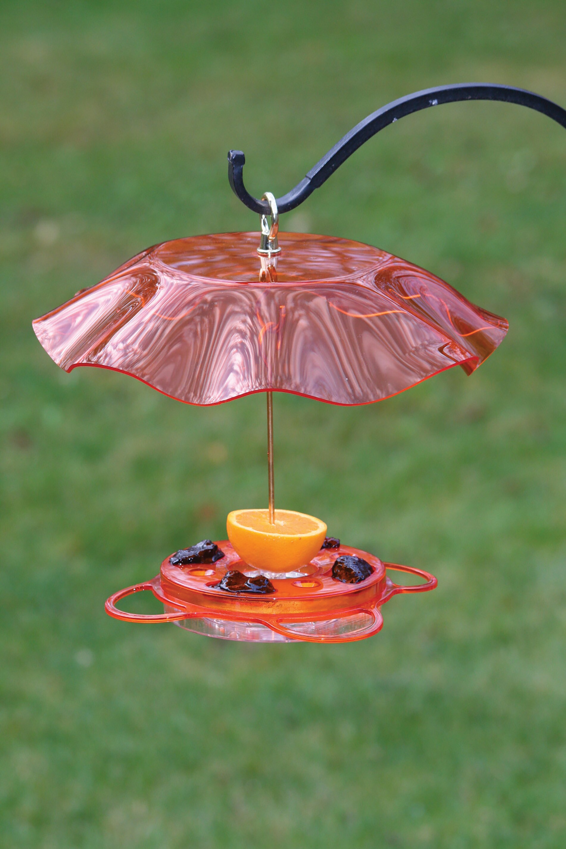 BIRDS CHOICE NP1012 Bird-Feeders - View #11