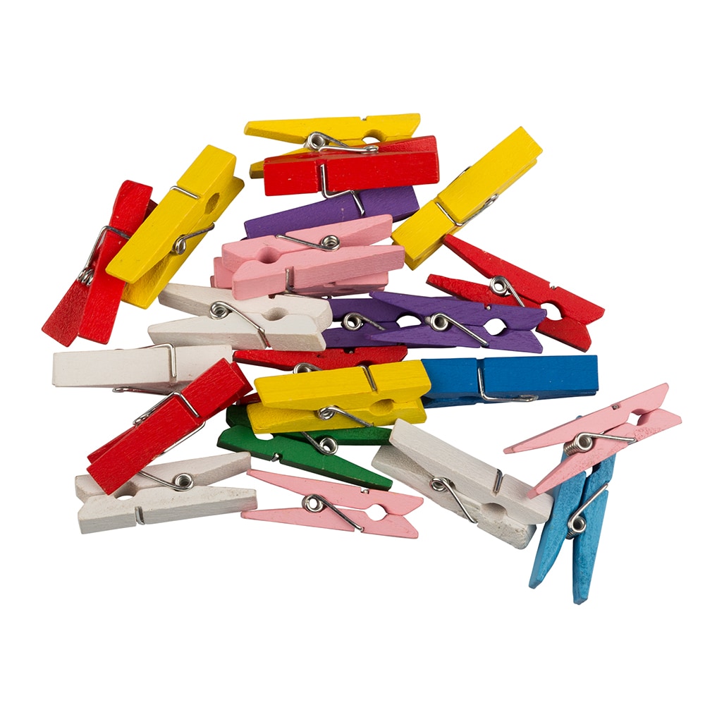 Pro-mart Plastic Clothespins (24 Pack)