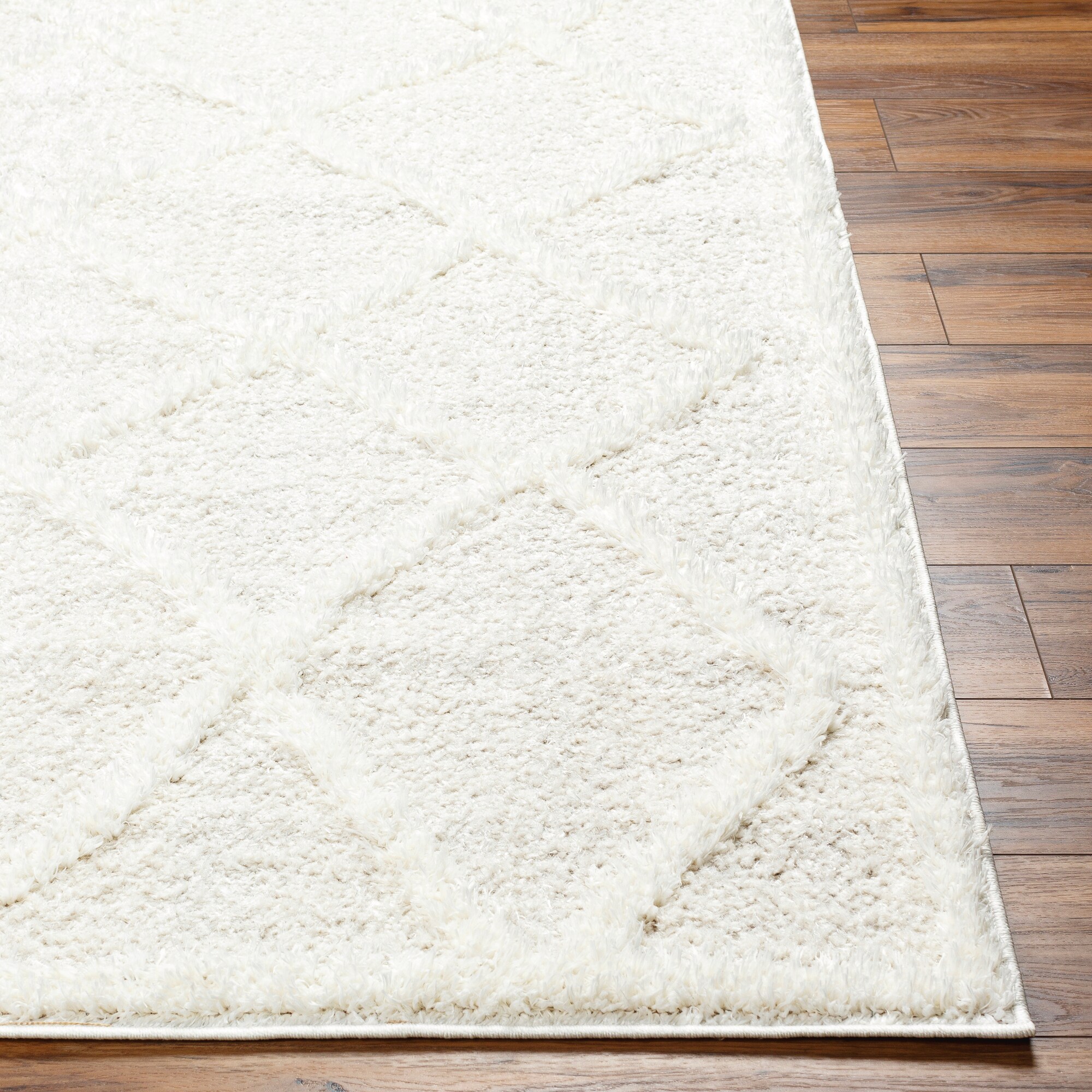 Livabliss RDO2301-537 rugs - View #2