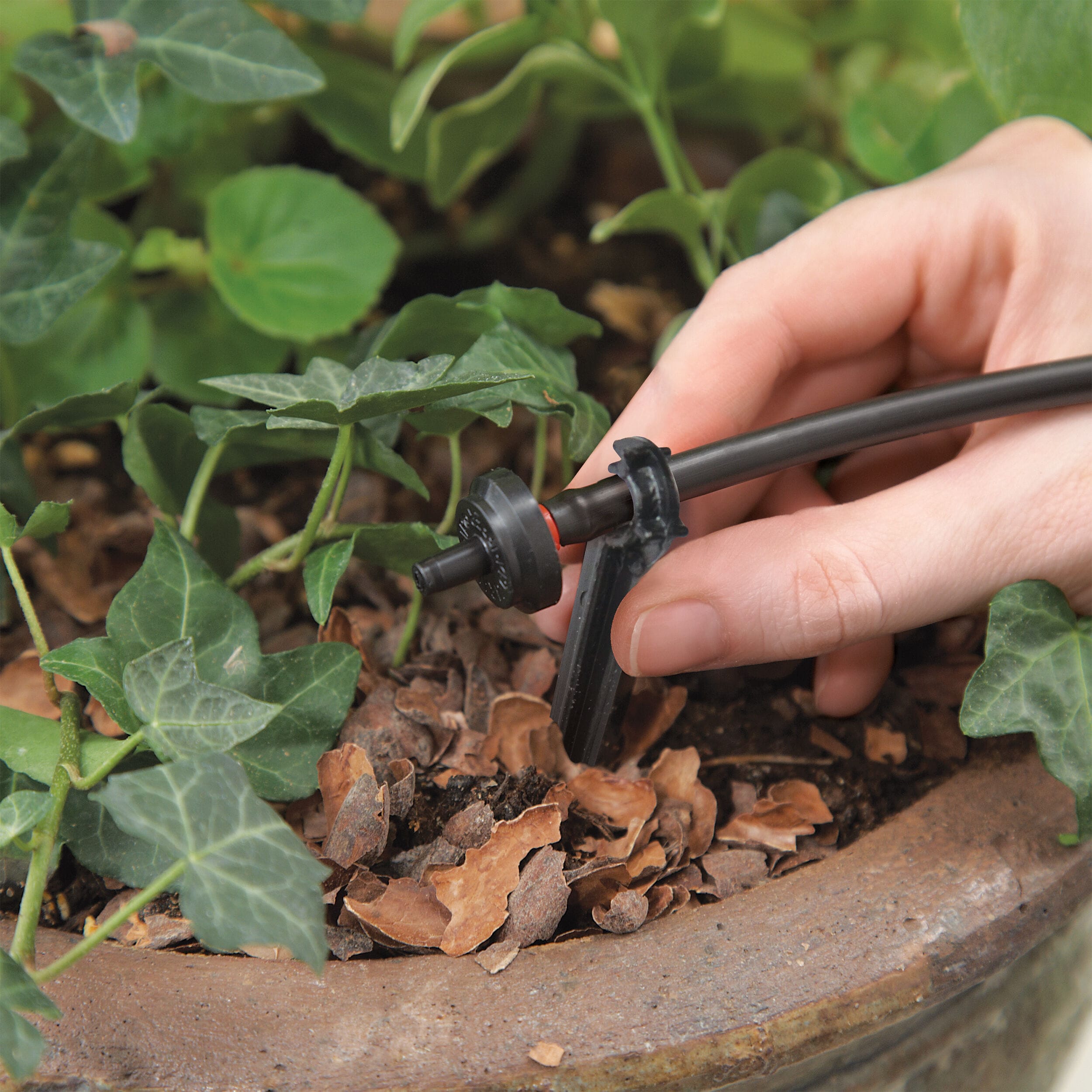 Raindrip PC4050B Drip-Irrigation-Water-Emitters - View #5