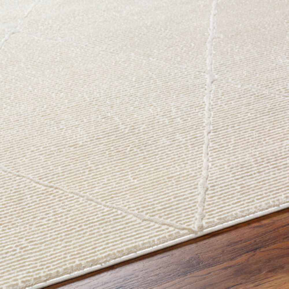 Livabliss ALD2300-639 rugs - View #6