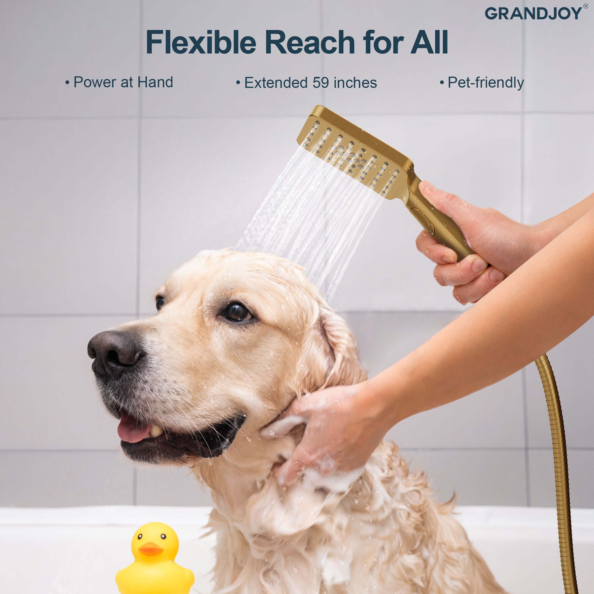 GRANDJOY SGF11GJ-35BG Fixed-Showerhead - View #8