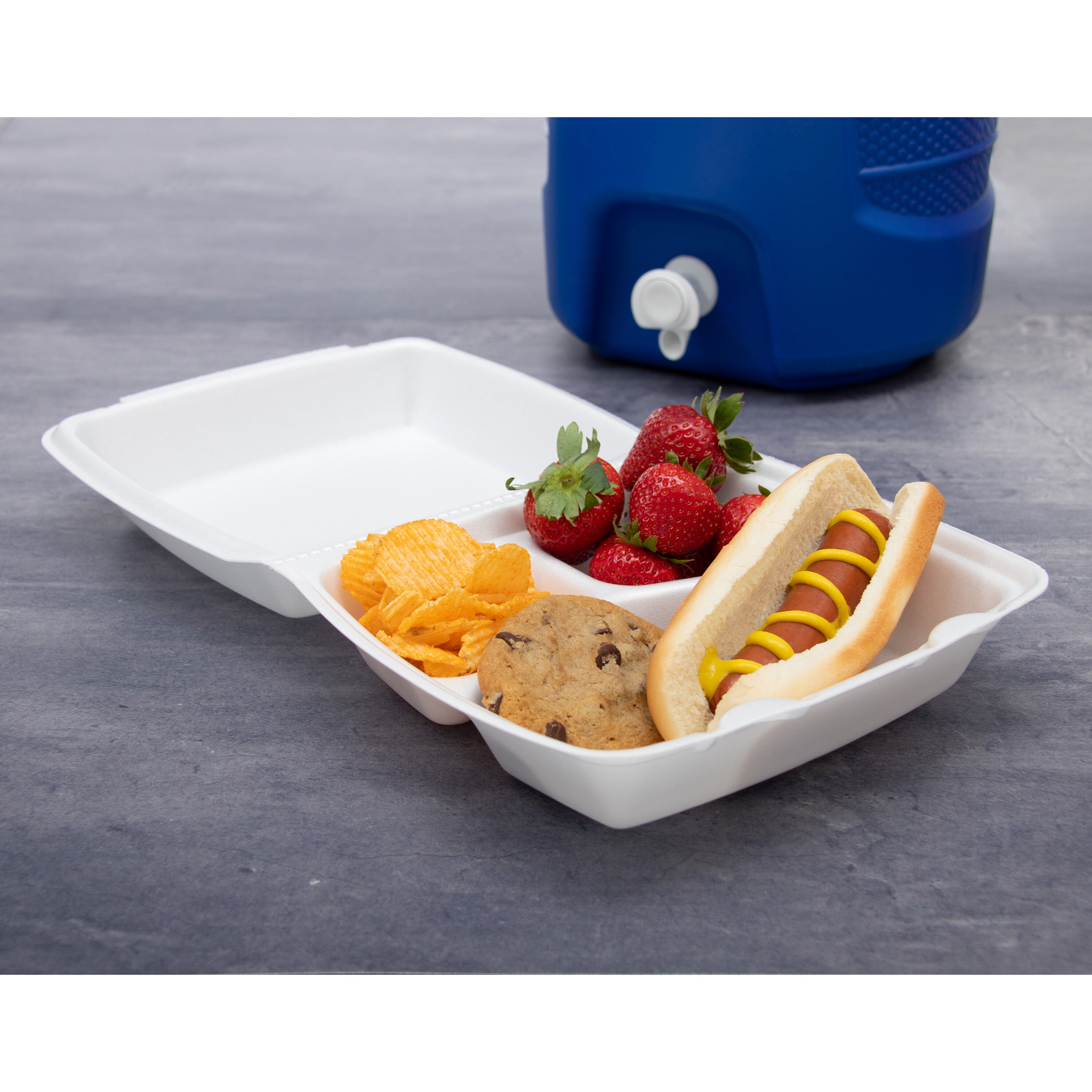 Dart DCC85HT3 Food-Storage-Containers - View #9