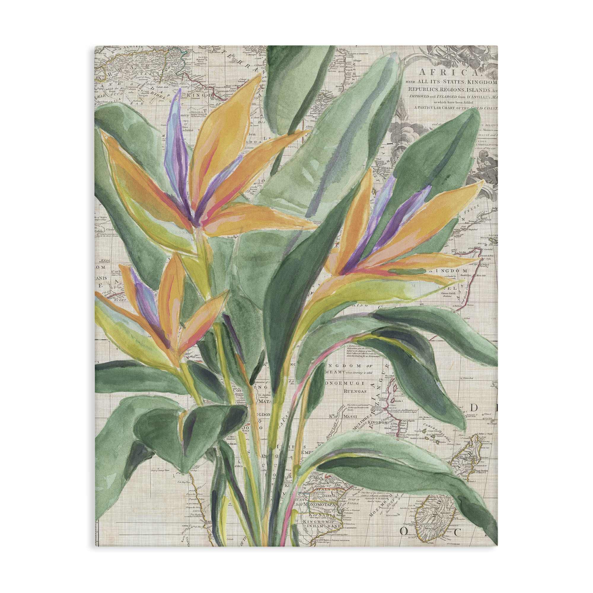 Stupell Industries BS-389-CN-30X40 Bird of Paradise over Map Canvas design by June Erica Vess