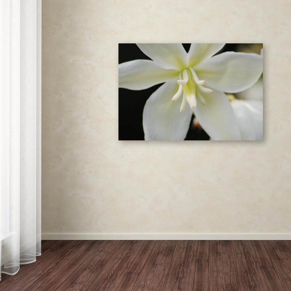 Trademark Fine Art MF149-C1624GG Wall-Art - View #3