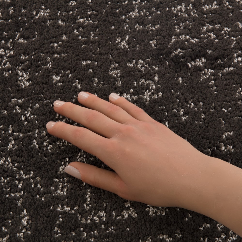 STAINMASTER PetProtect 7L97700706 Carpet-Panel - View #4