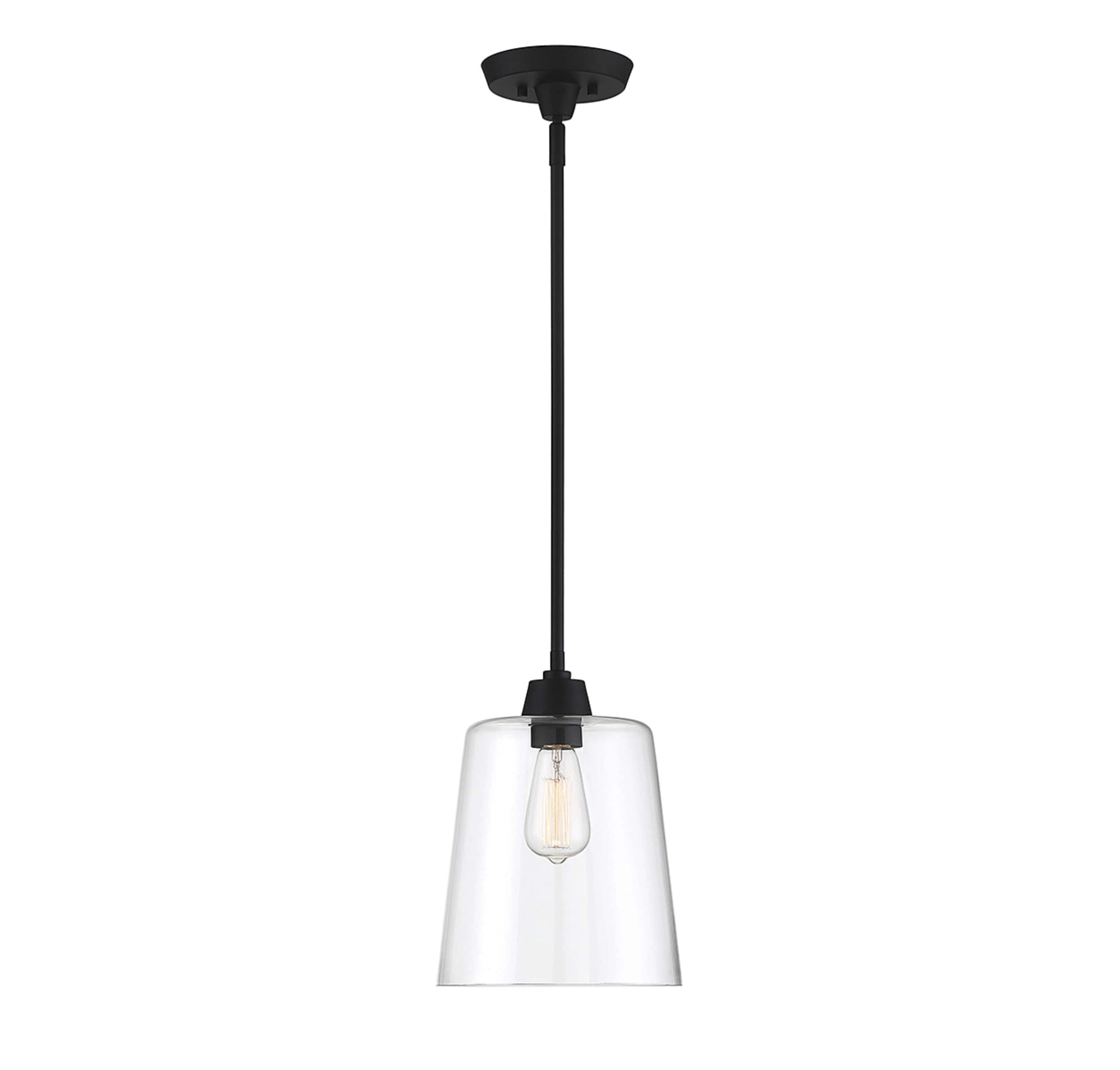 Templeton Matte Black Pendant Light with Clear Glass Shade