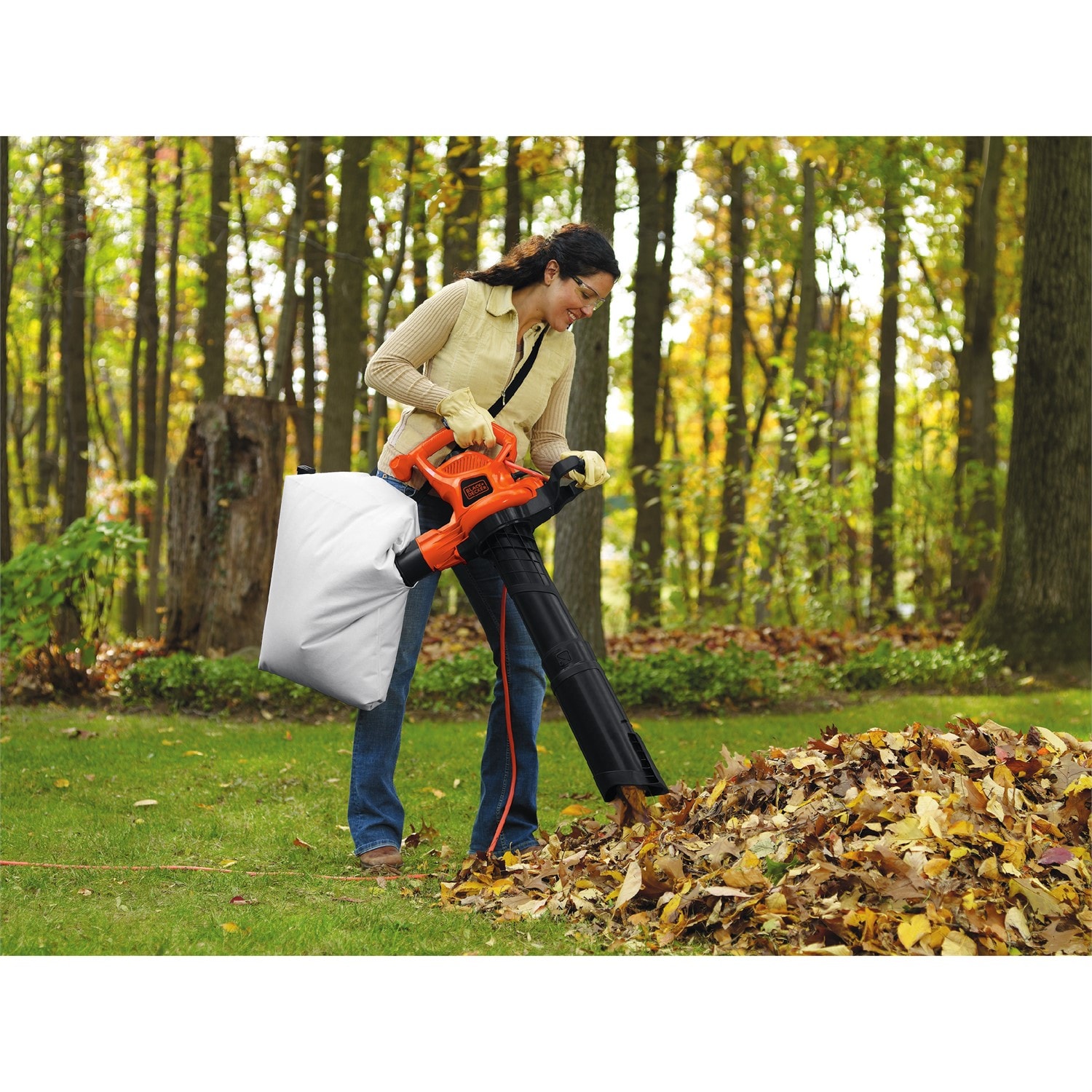 Black & Decker Leaf Blowers • Compare prices now »