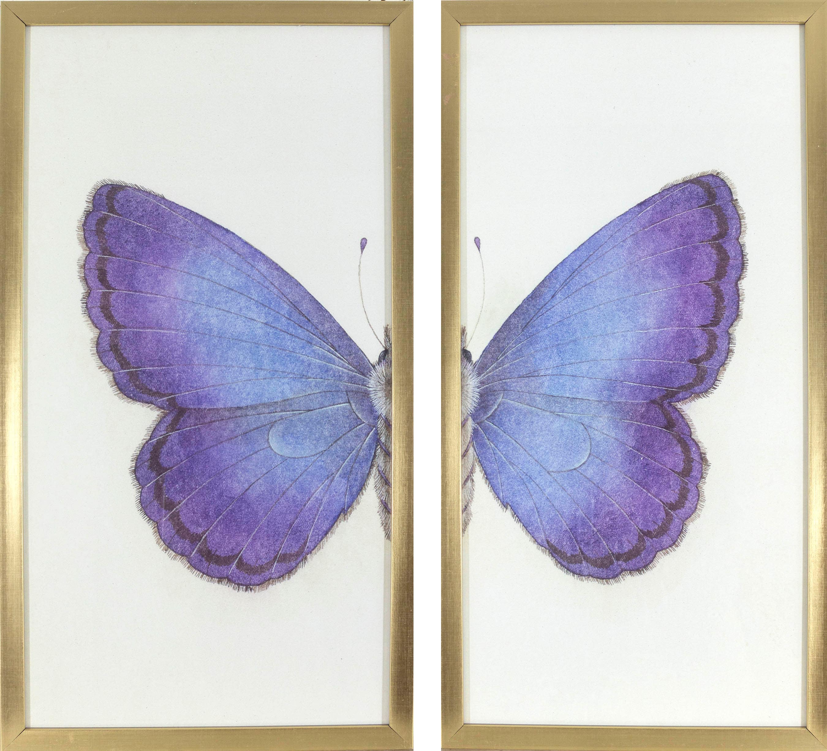 allen + roth 2103-8043LOW Butterfly III Framed 24.75-Inches H x 13-Inches W Animals Print