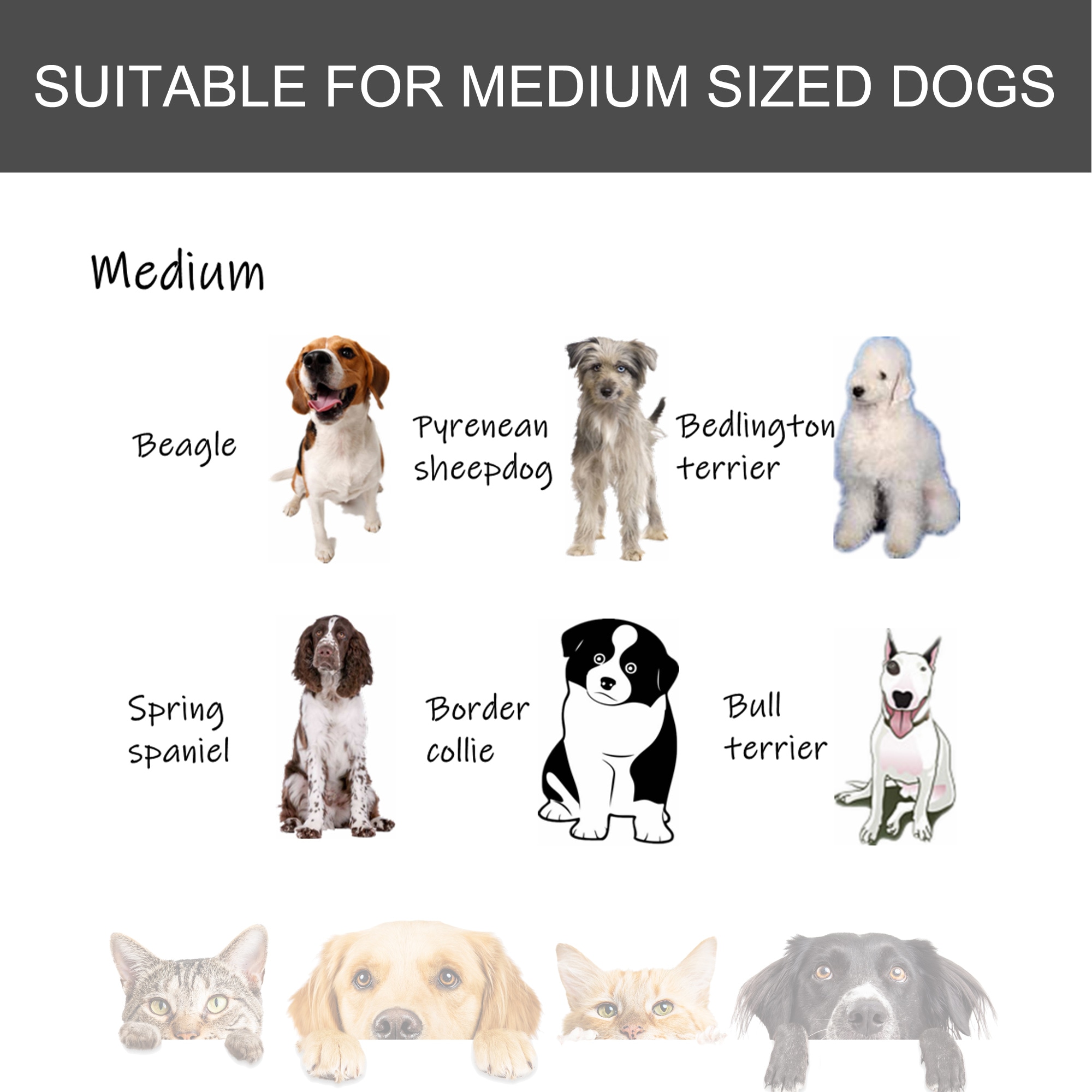 Siavonce XH00636 Pet-Crates-Carriers - View #2