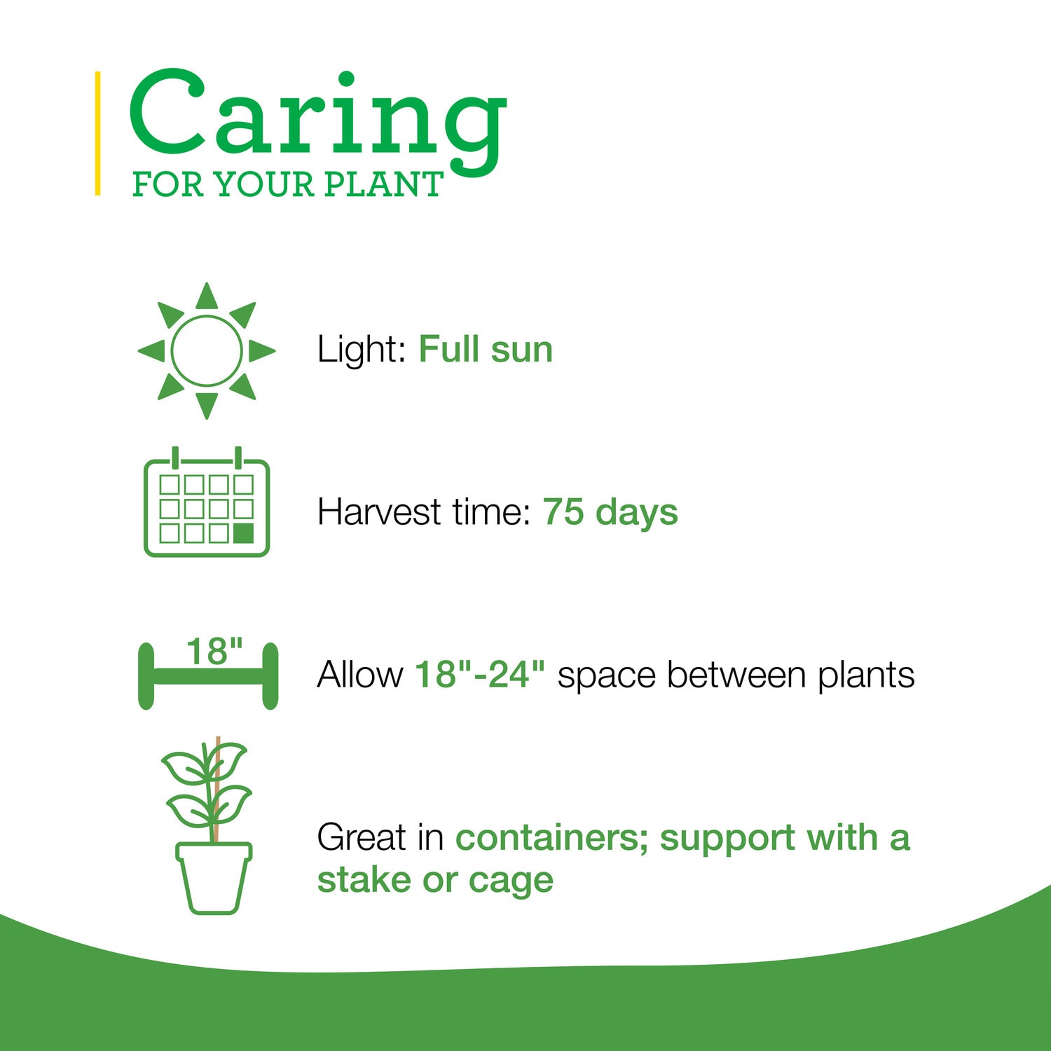 Bonnie Plants 202046 Vegetable-Plants - View #5