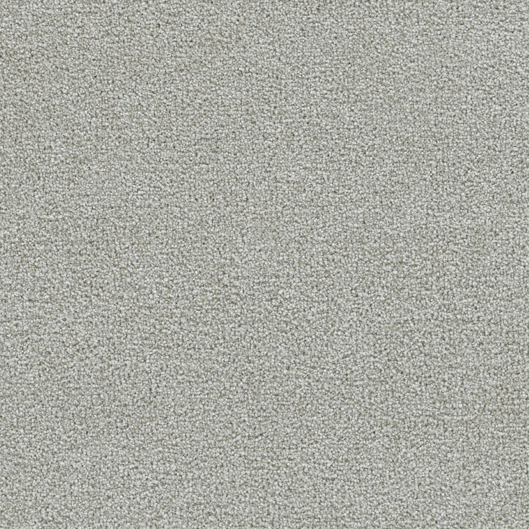 STAINMASTER (Sample) Streamside Gray 70-oz sq yard Solution-dyed ...